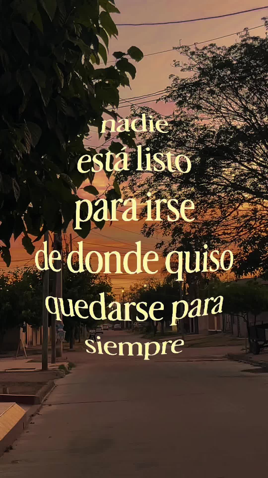 @Cami Perello  |  🦋