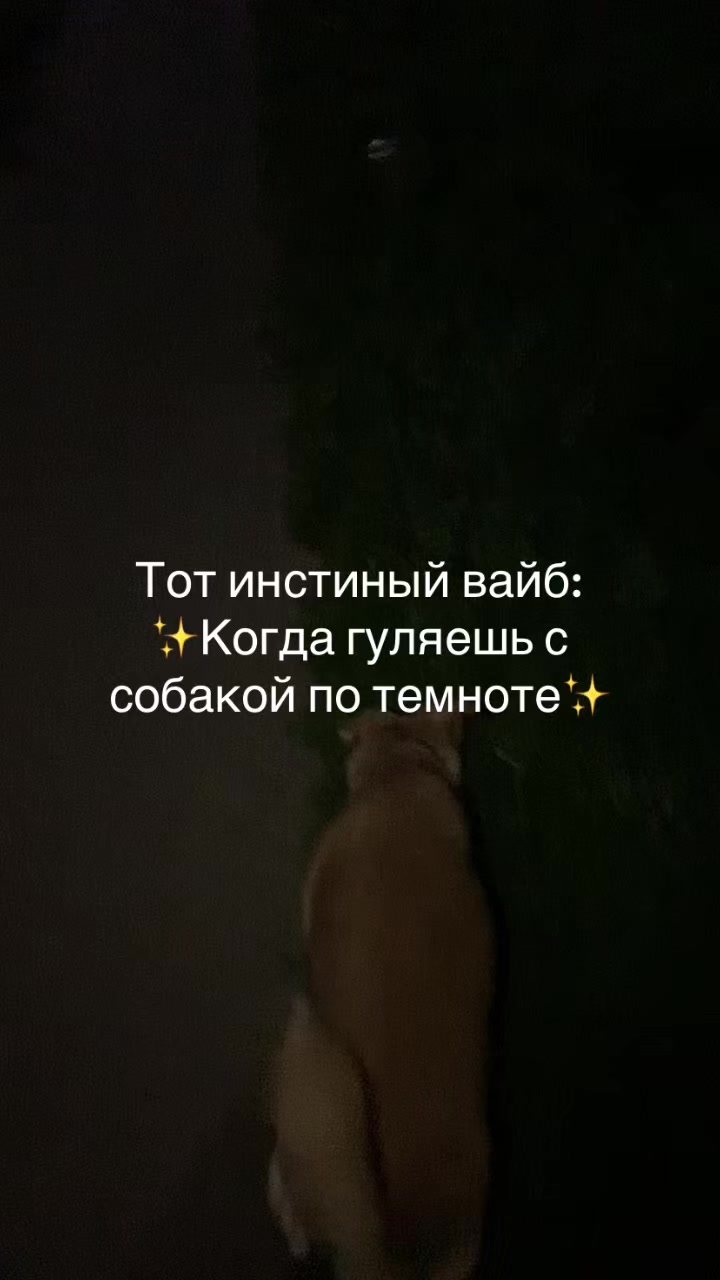 @arina