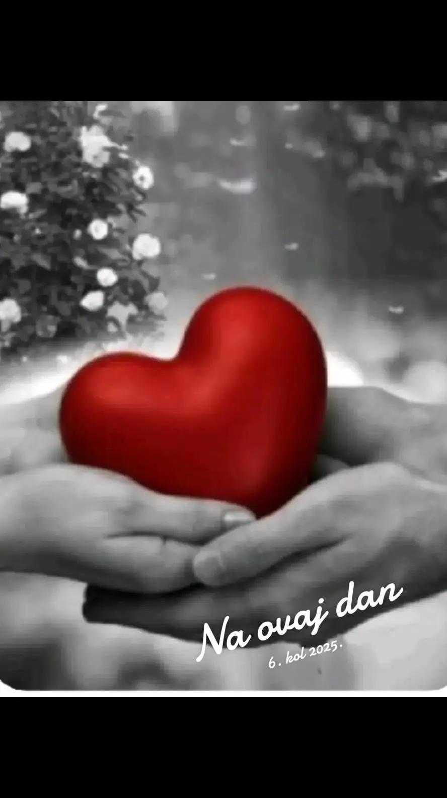 @Jasna