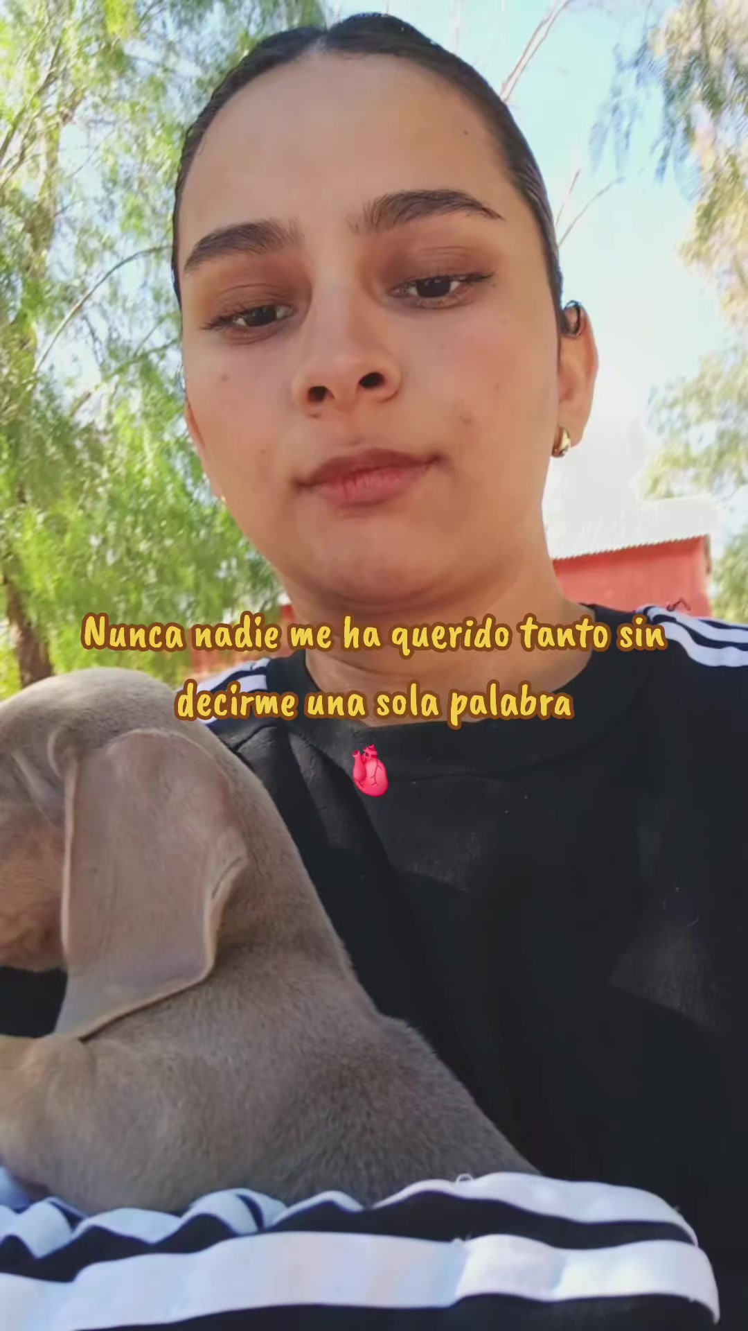 @JOHANNA