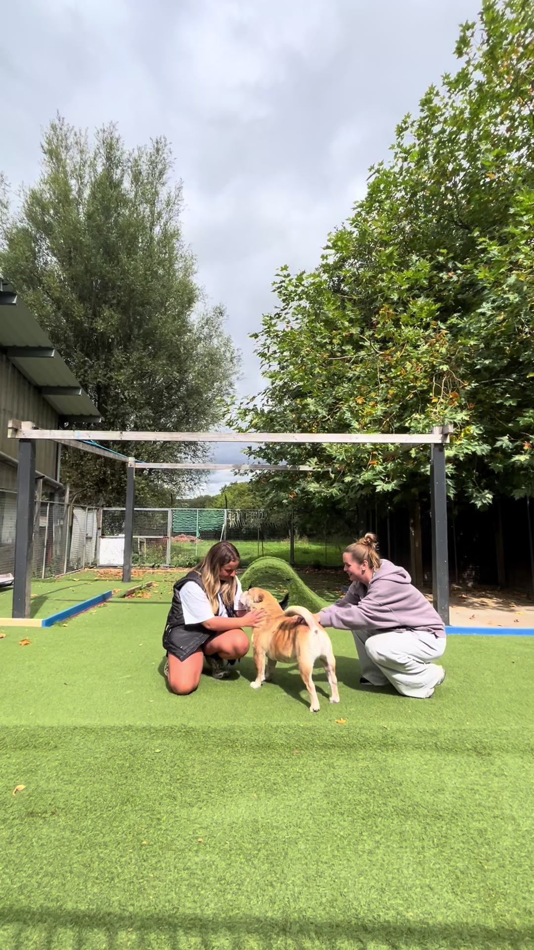 @Many Tears Animal Rescue🐾