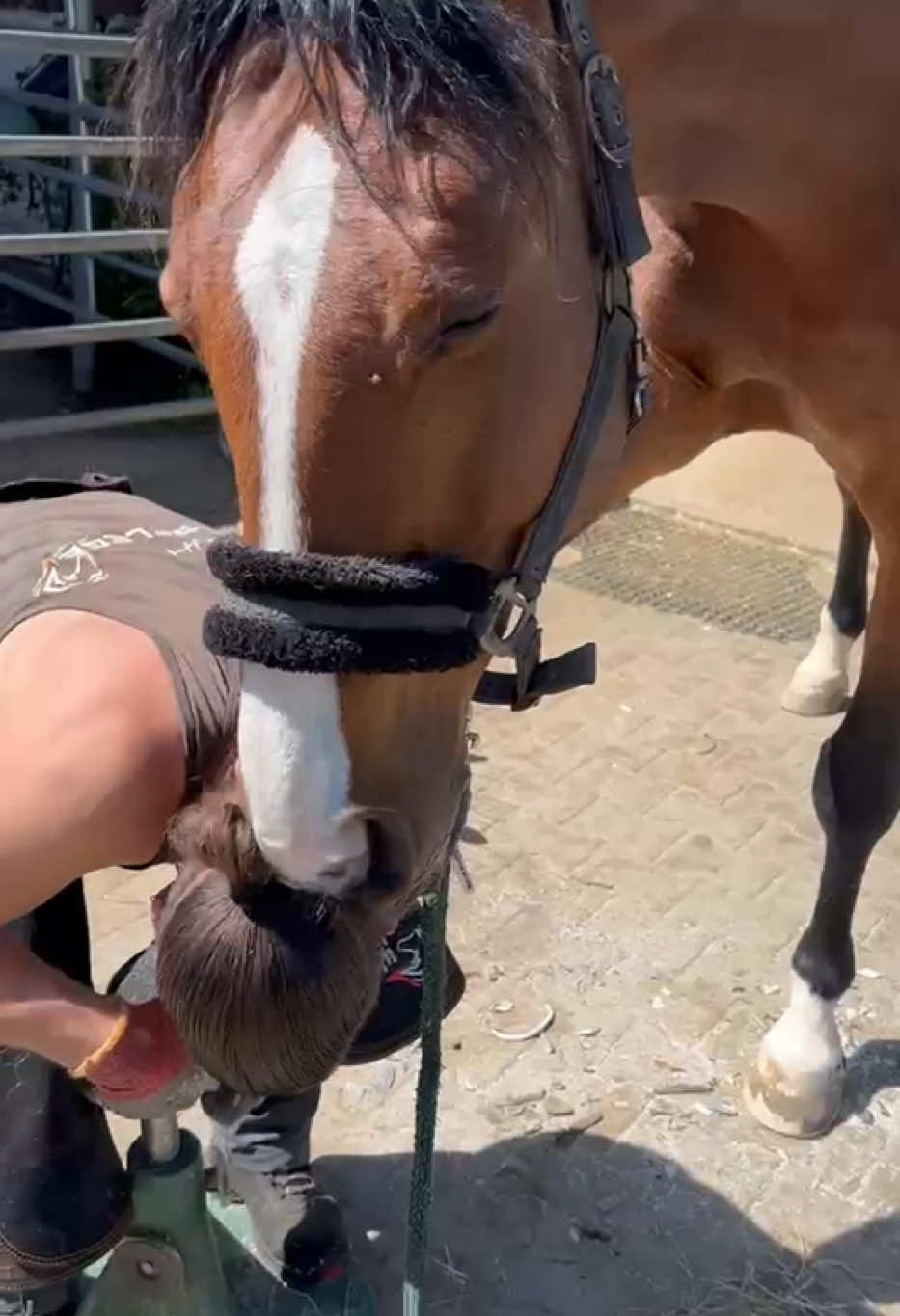 @Julian 🐴