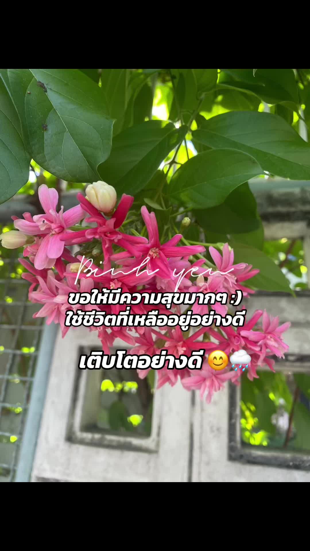 @Lady Kanch Lifestyle