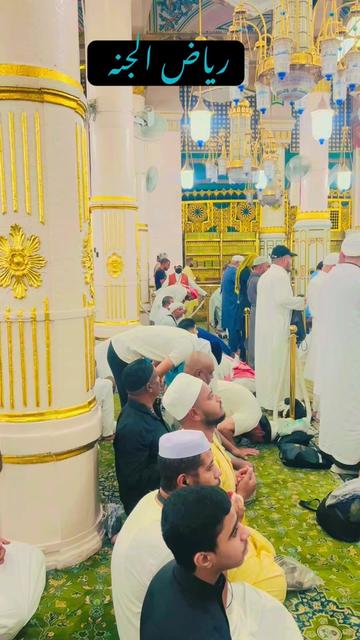 @حافظ مجاهد ڪرمي