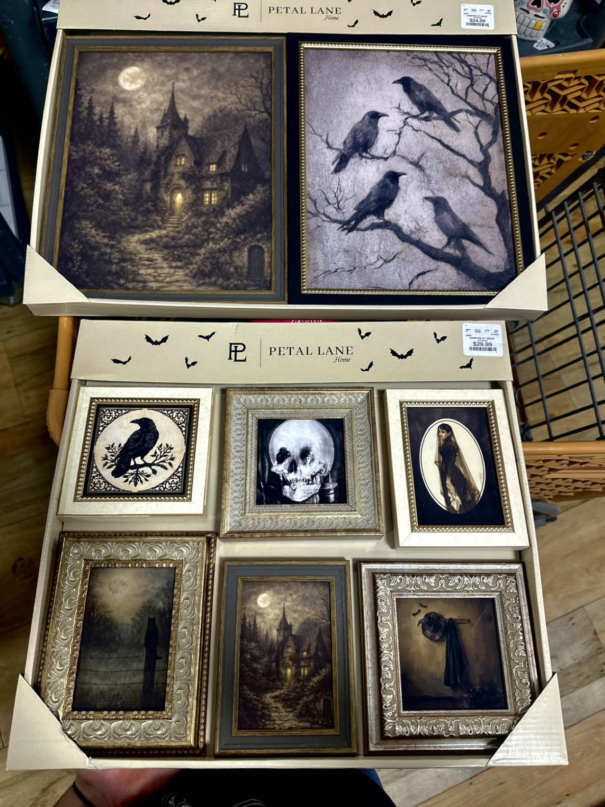 @haven 🦇