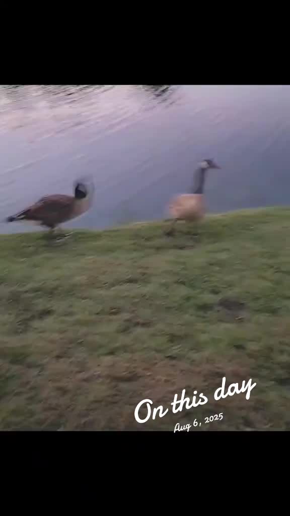 @FloridaLiving