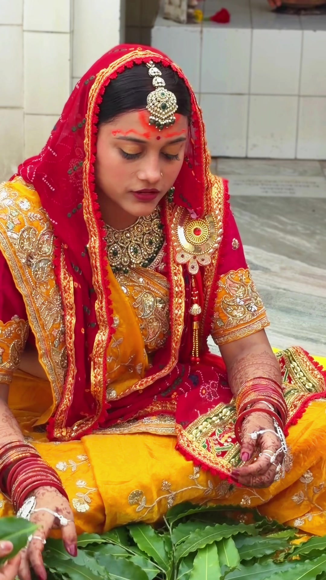 @Anisha pankaj jha 🦚🌸