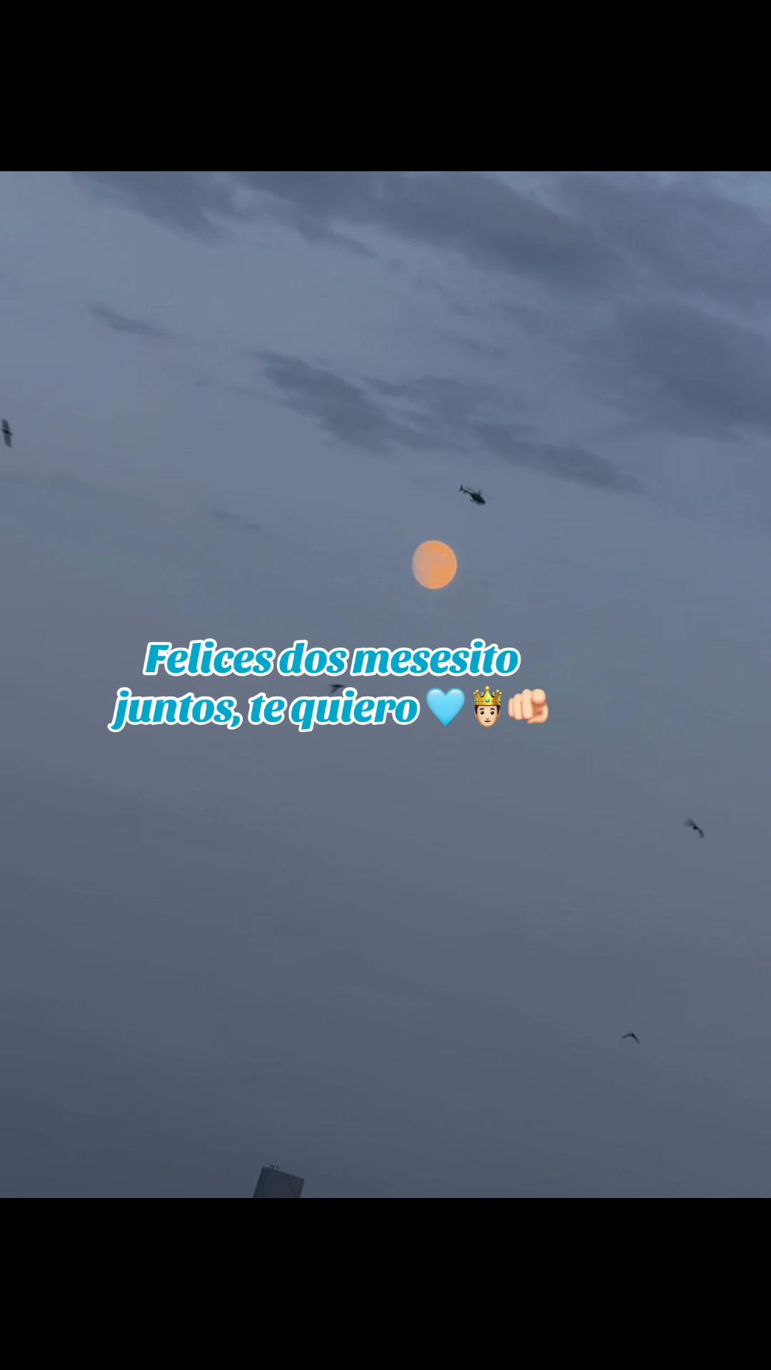 @💙🐥𝓛ꭵ𝑙ꭵ𝗍𝙝🕷️🪼
