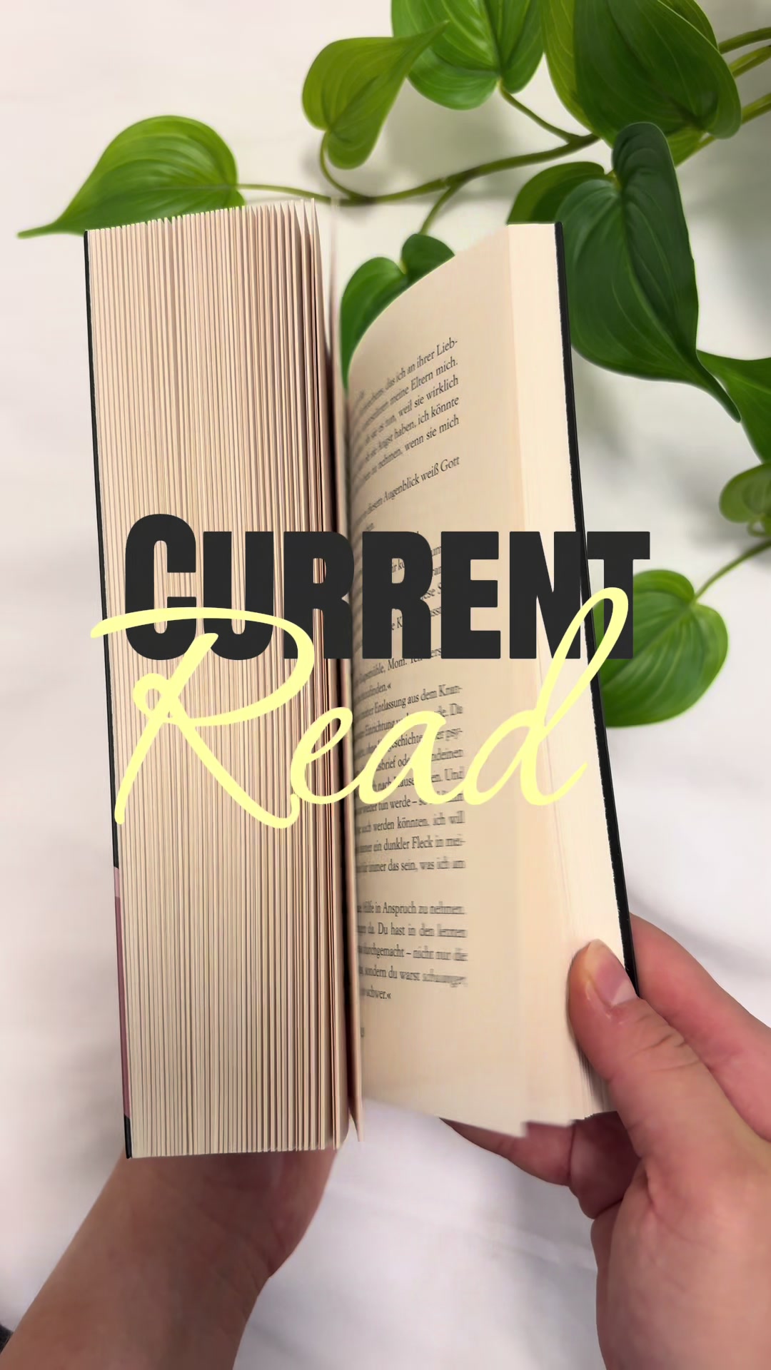 @Alina 📚✨