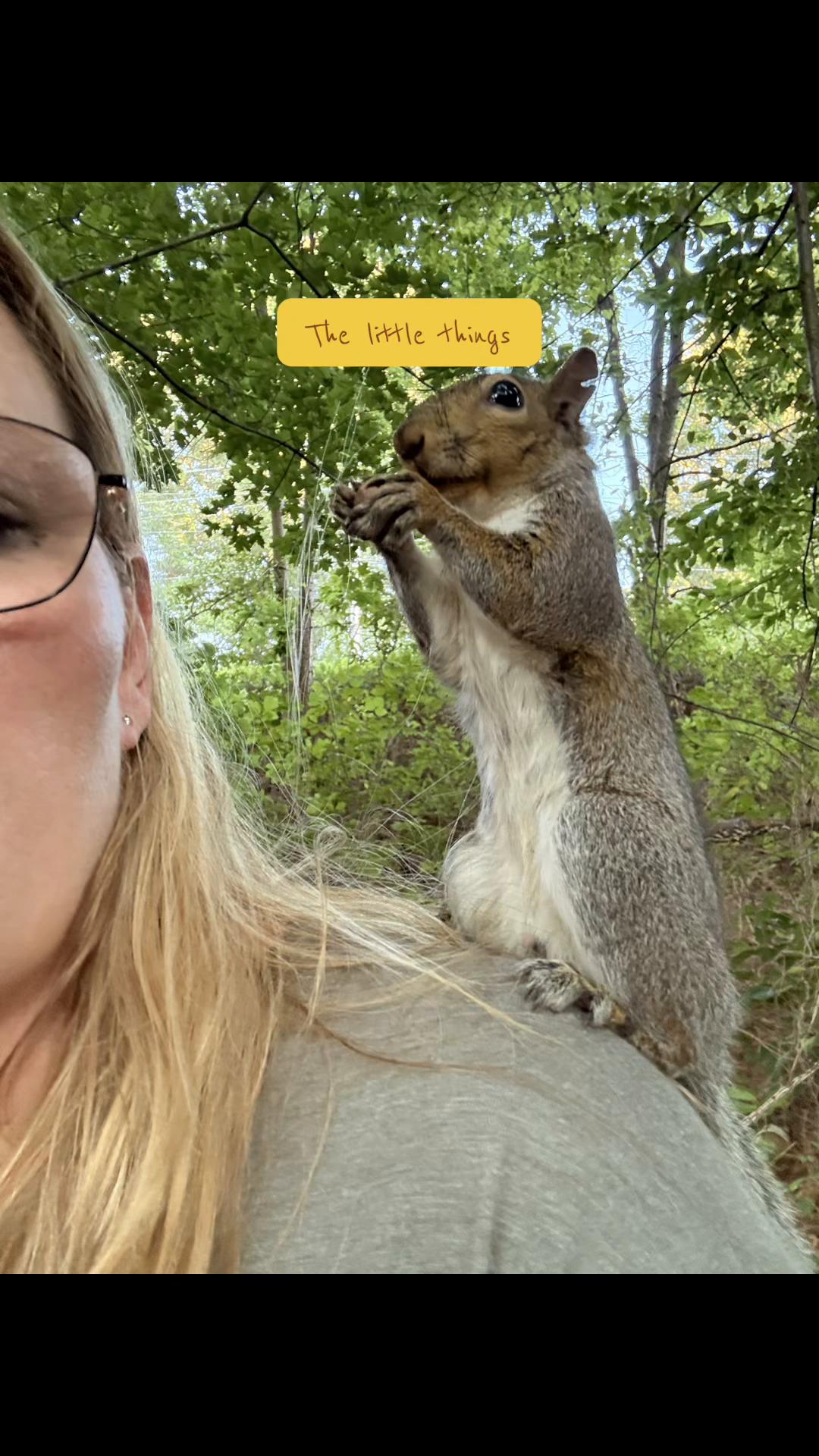 @Blondefawn