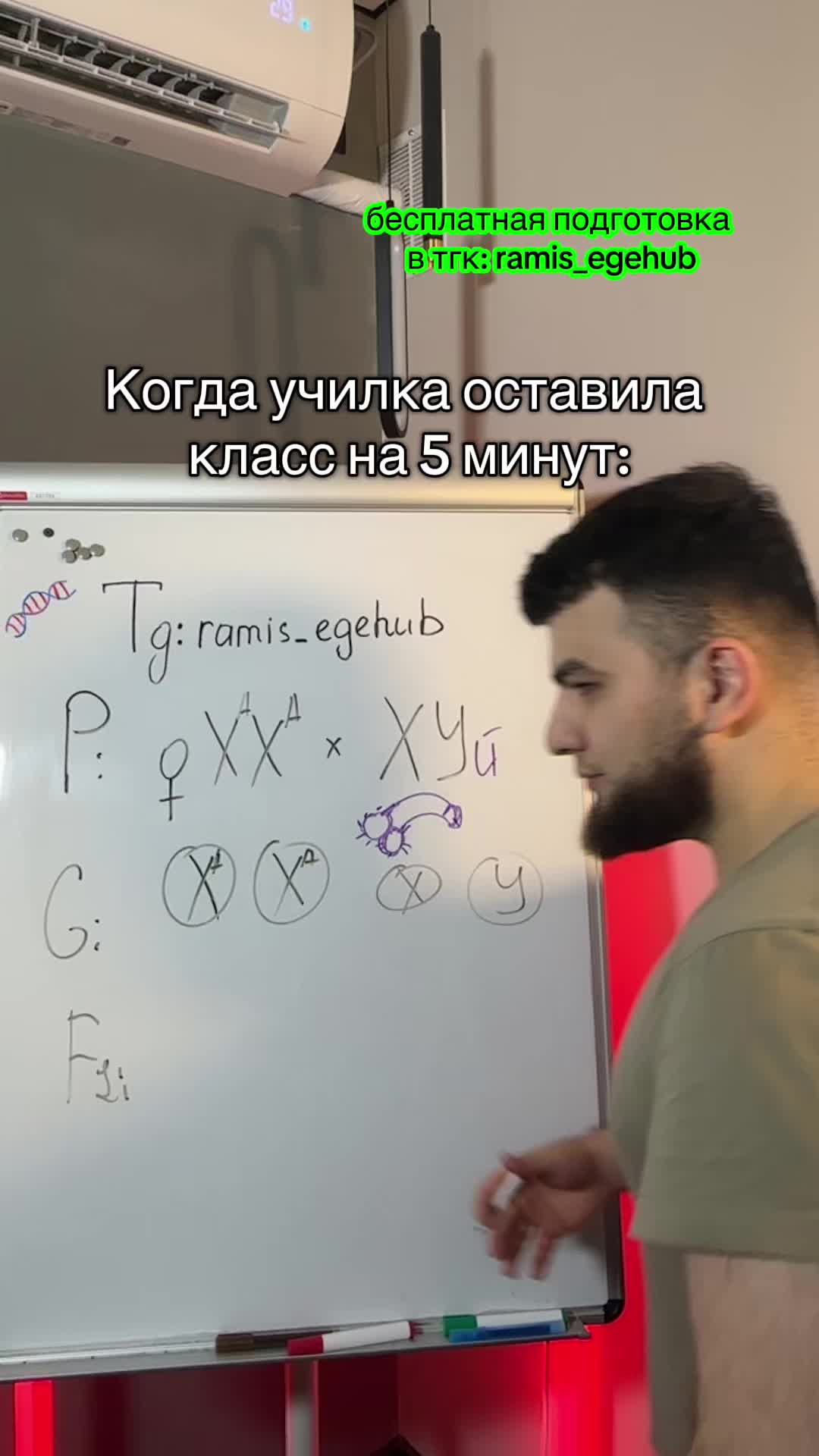 @Рамис Загиров | ЕГЭhub