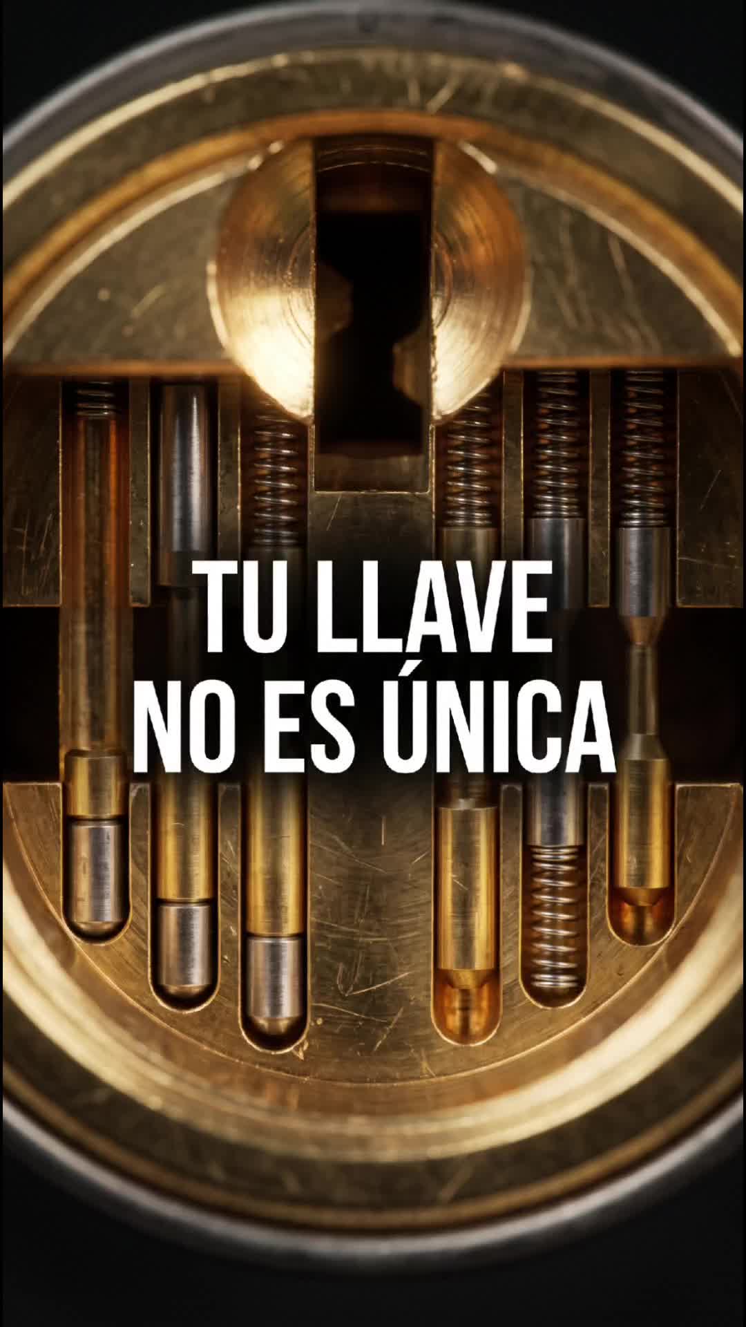 @Solo datos