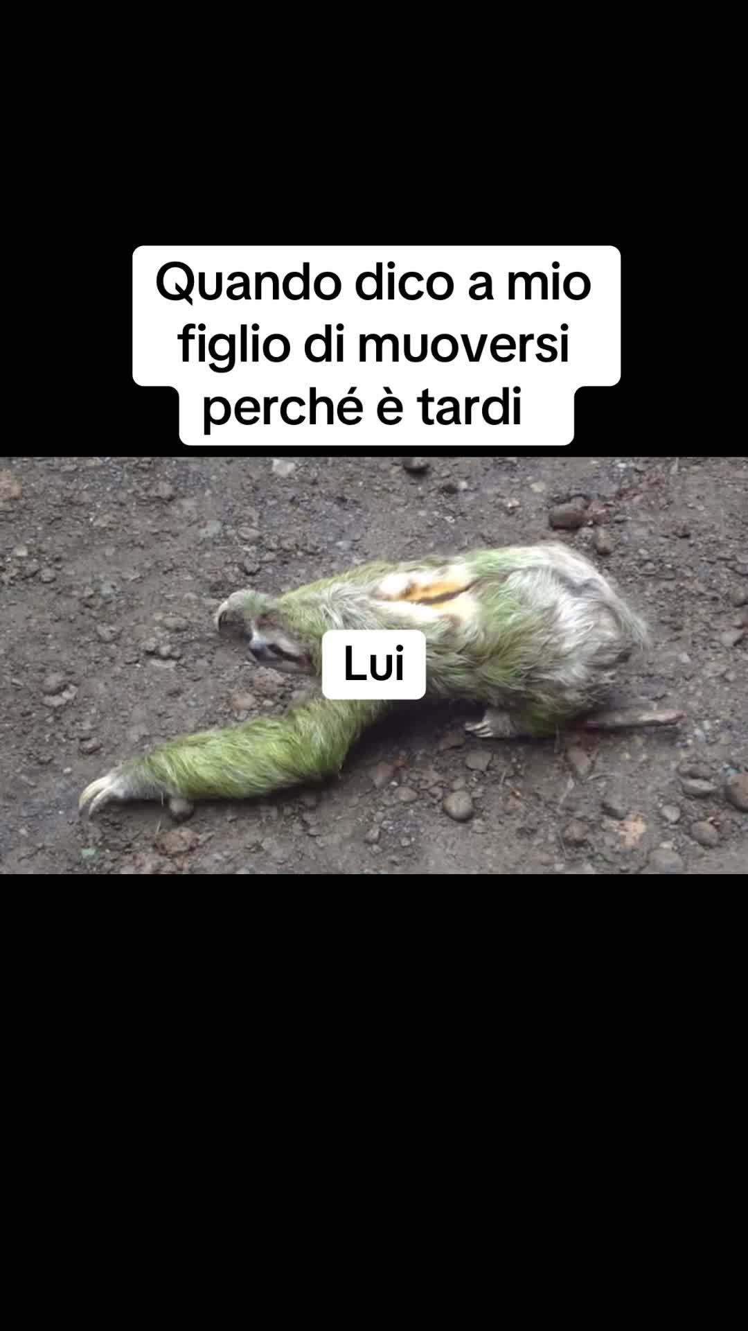 @Umberto Marasco