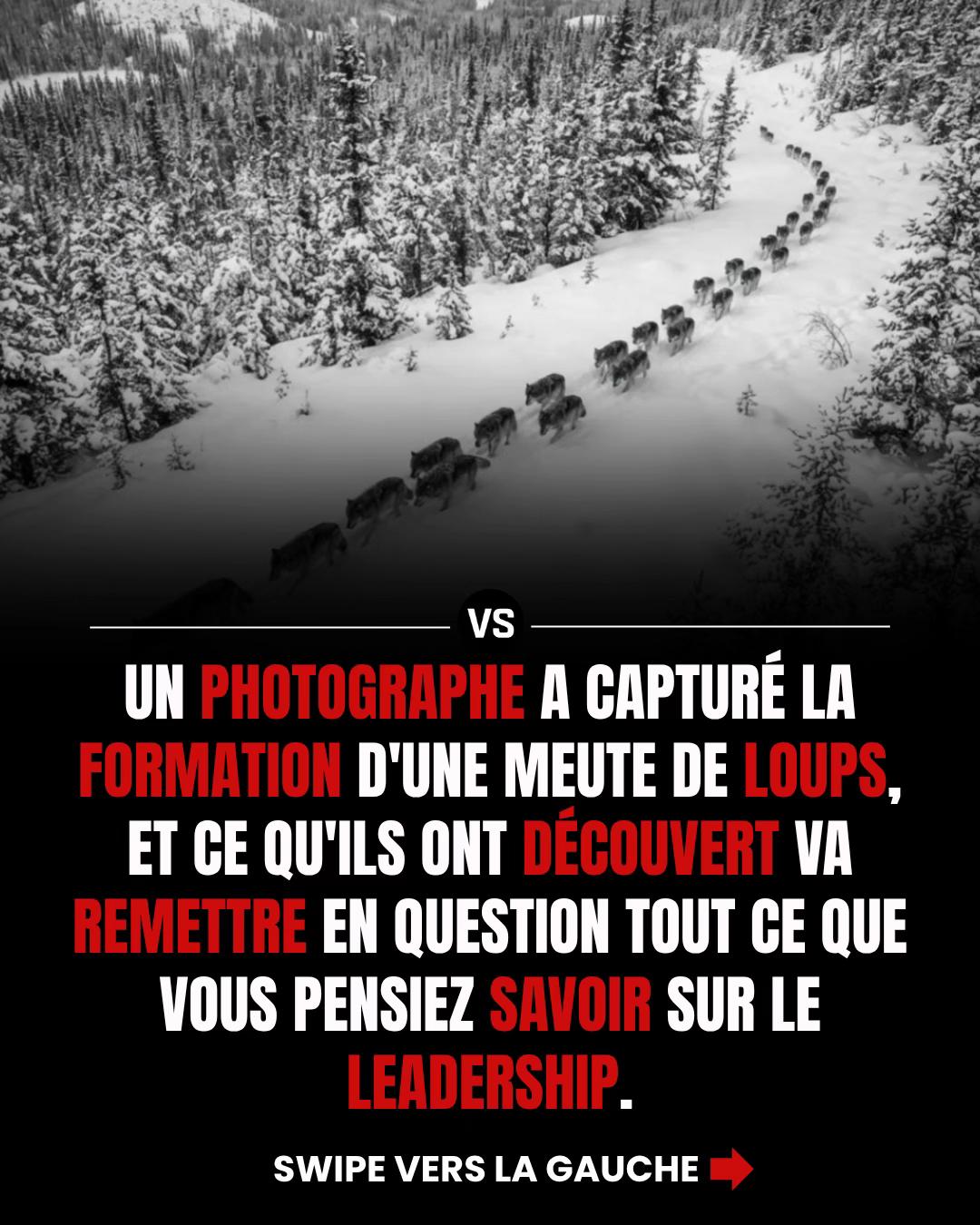 @Vision_succ&egrave;s