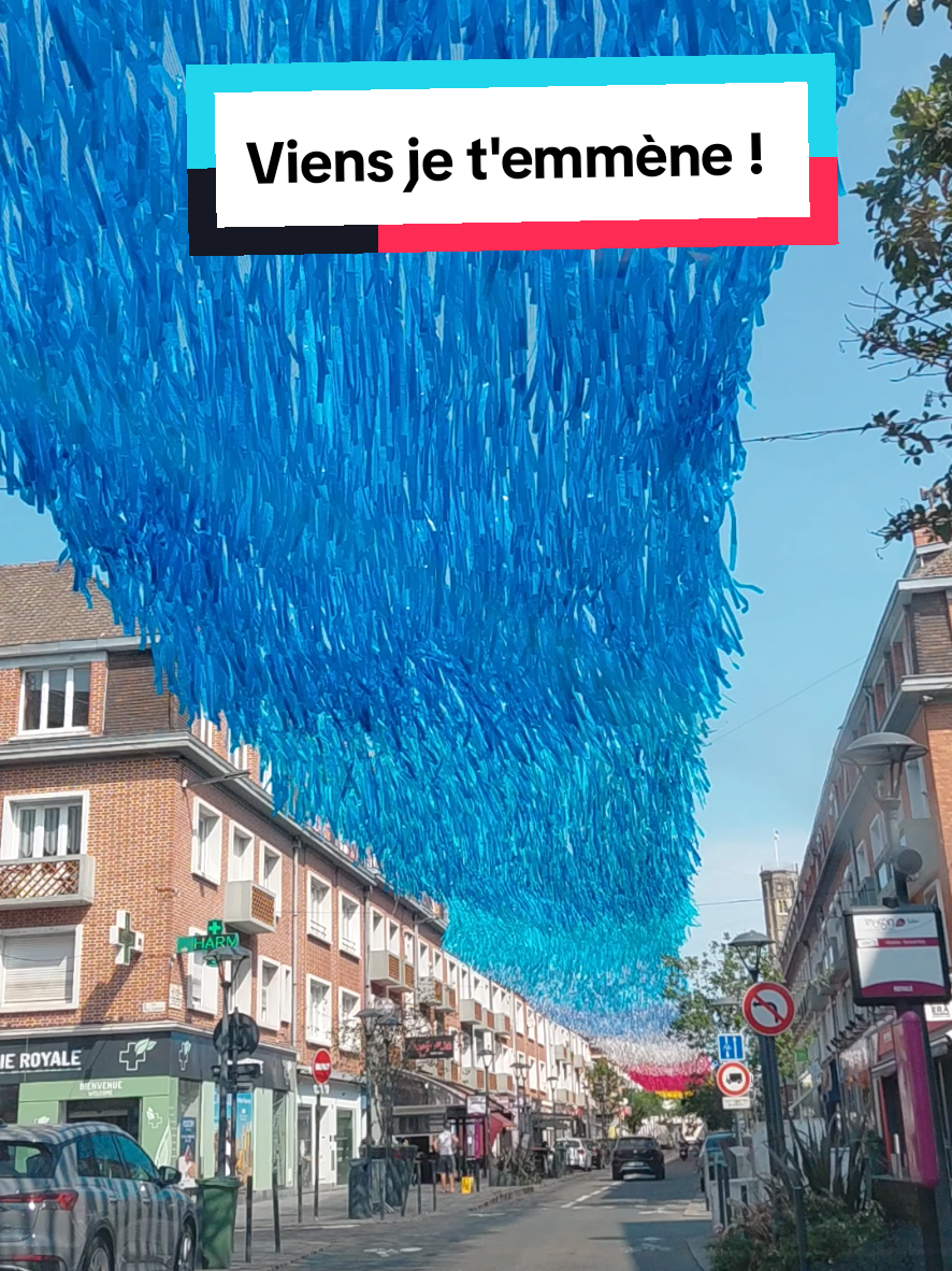 @tine du 59