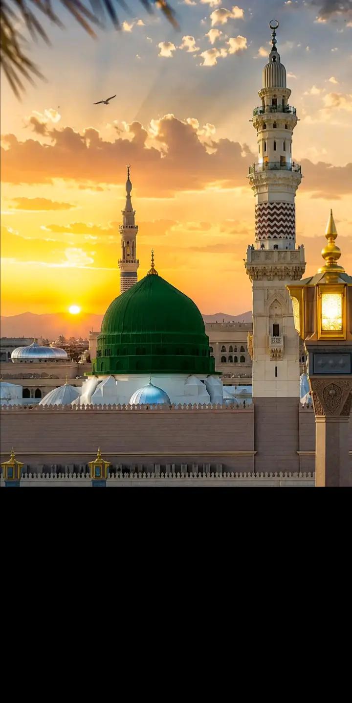 @muntazir.vafadar&hearts;️👑🇬🇧