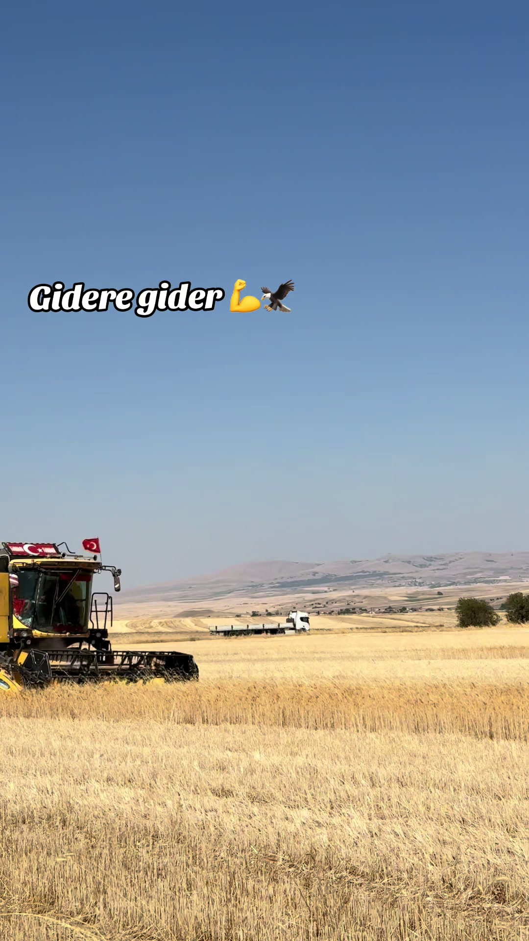 @Mahmut AĞDOĞAN27