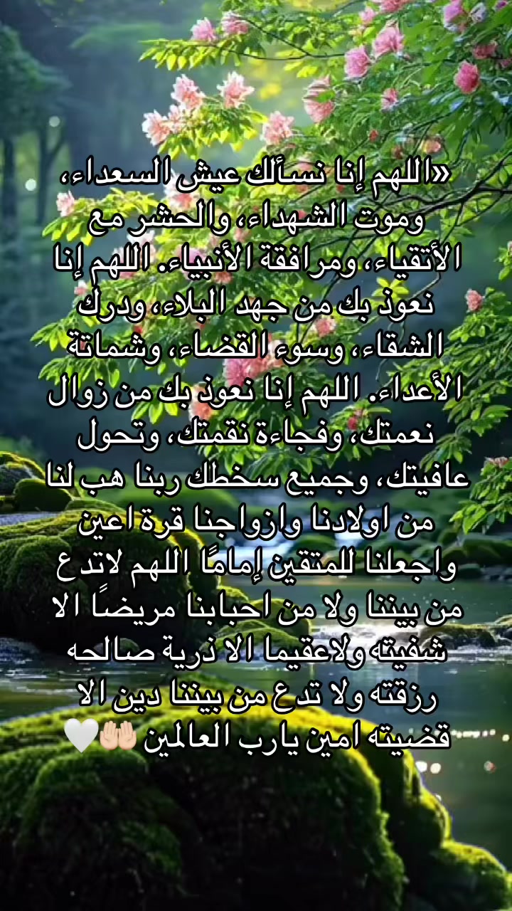 @عابرة الى الجنه ان شاء الله