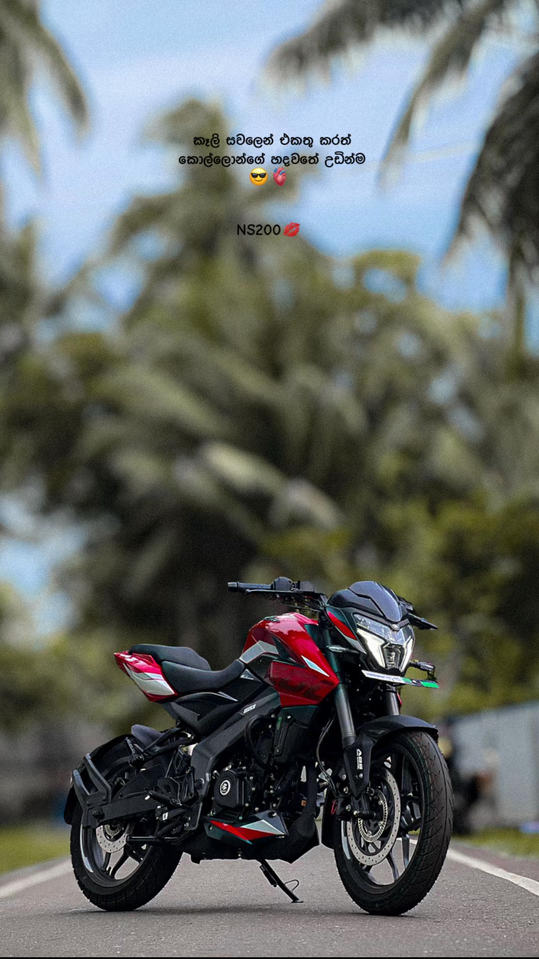 @ラ ヴ ォ ド 🇦🇱