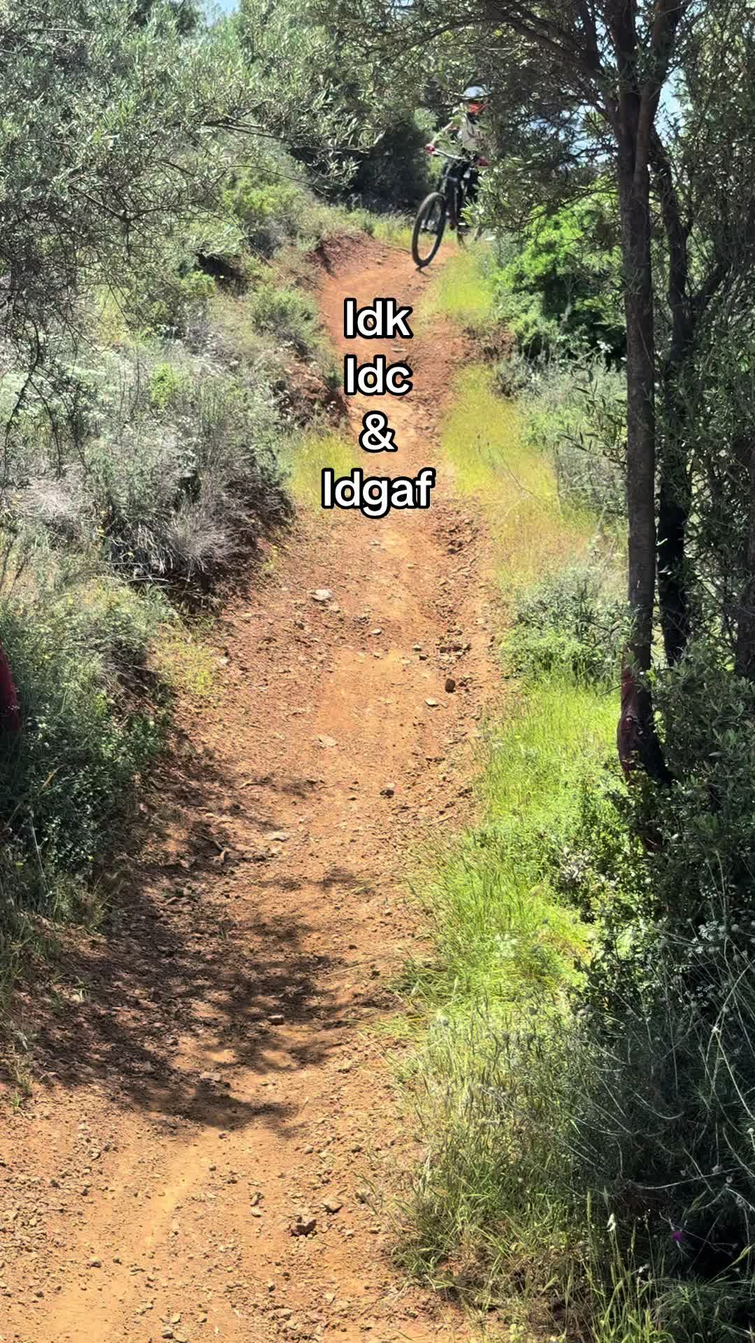 @Staywild