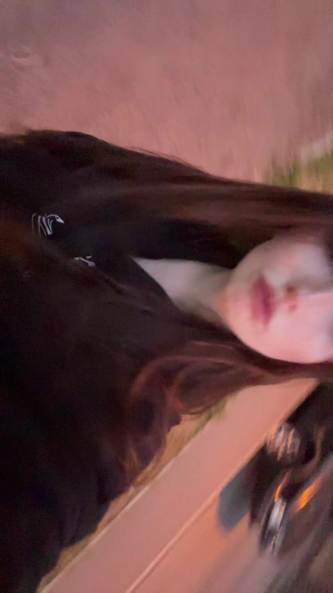 @лисава
