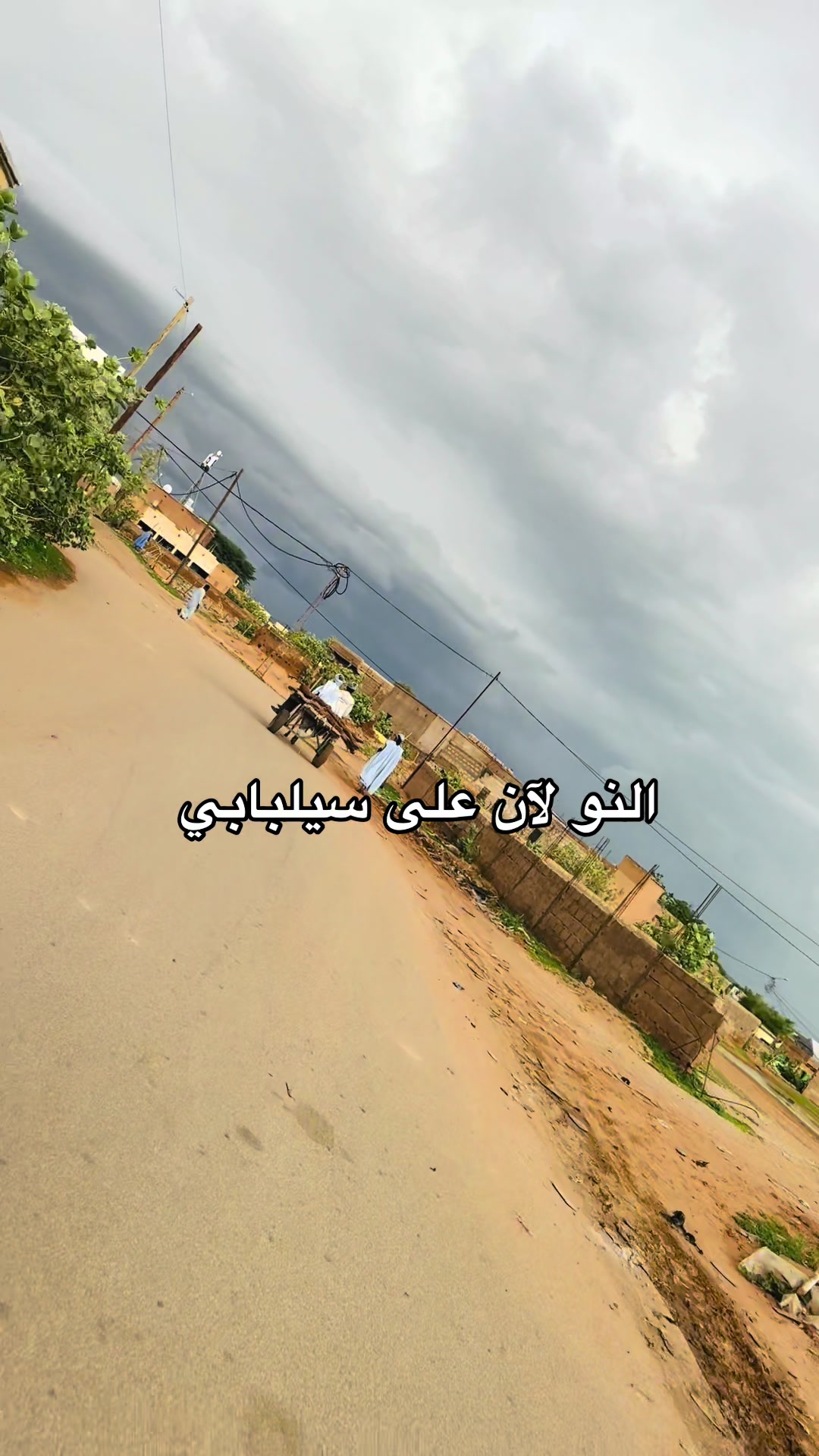 @يحيى محمد نوح