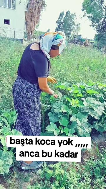 @bur&ccedil;in