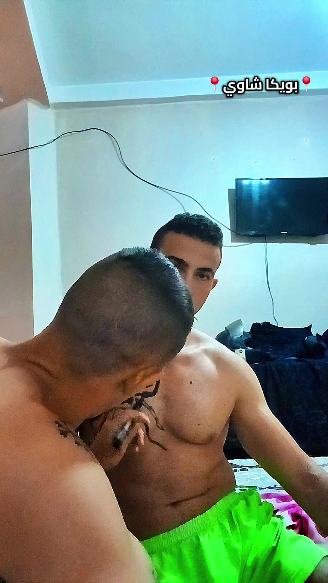 @🌶️بويكا_الشاوي🌶️