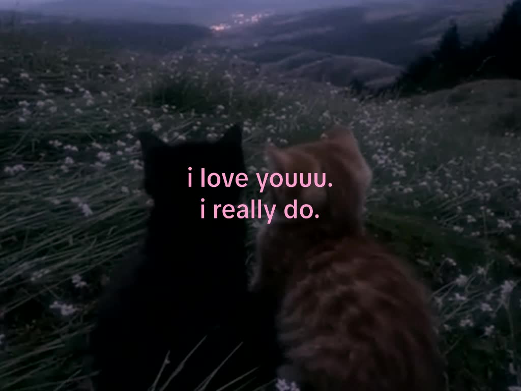 @mond