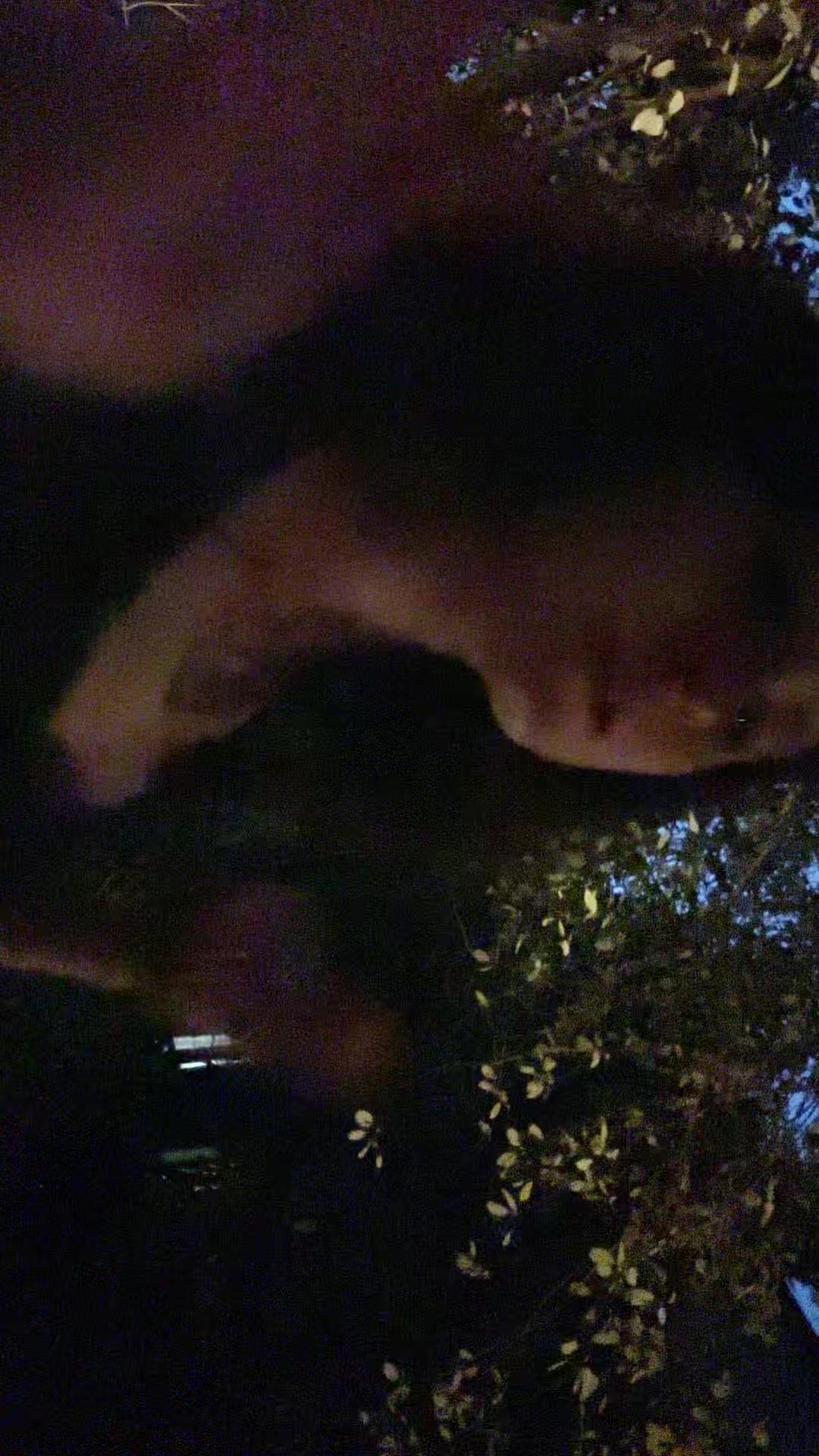 @0llpopll0