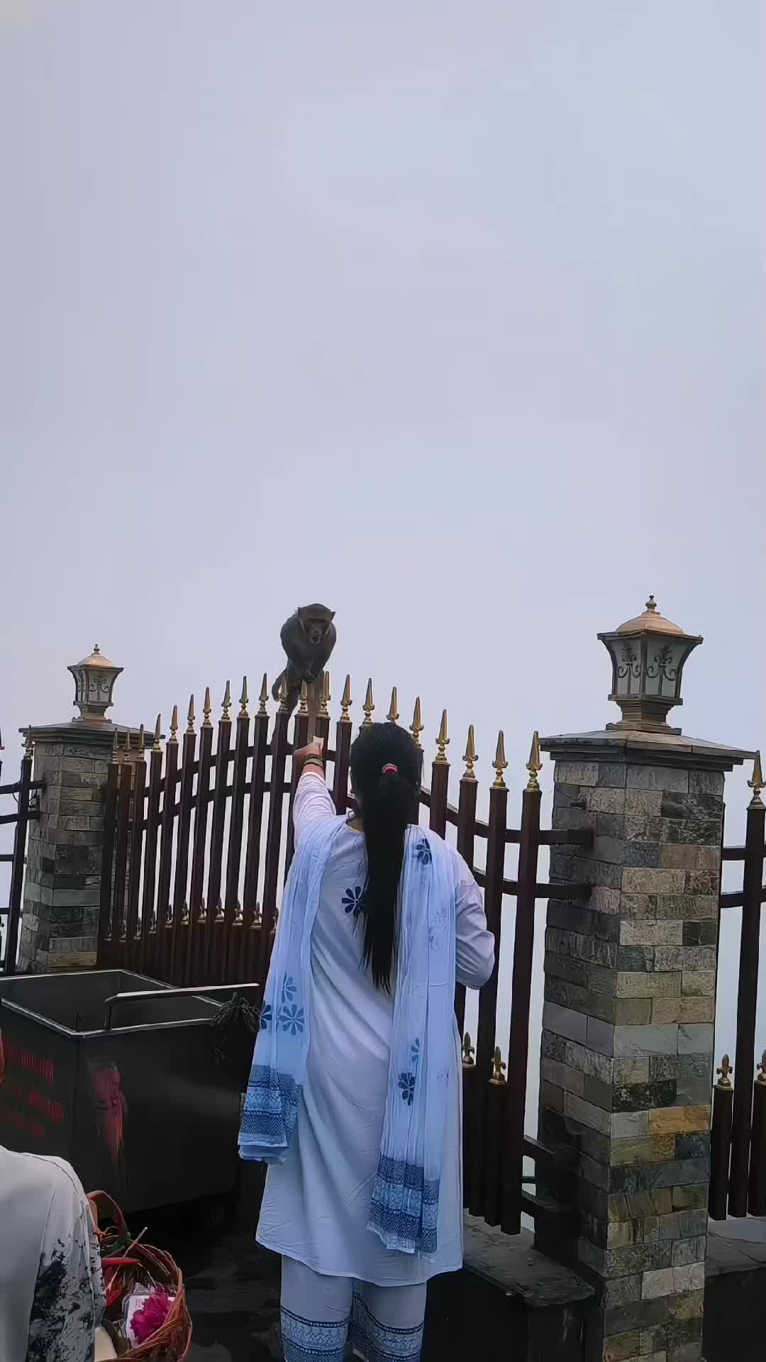 @pakhrinoffical🙏