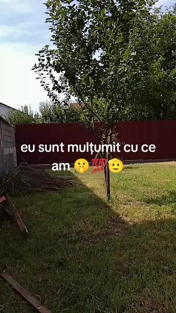 @Alex Calo
