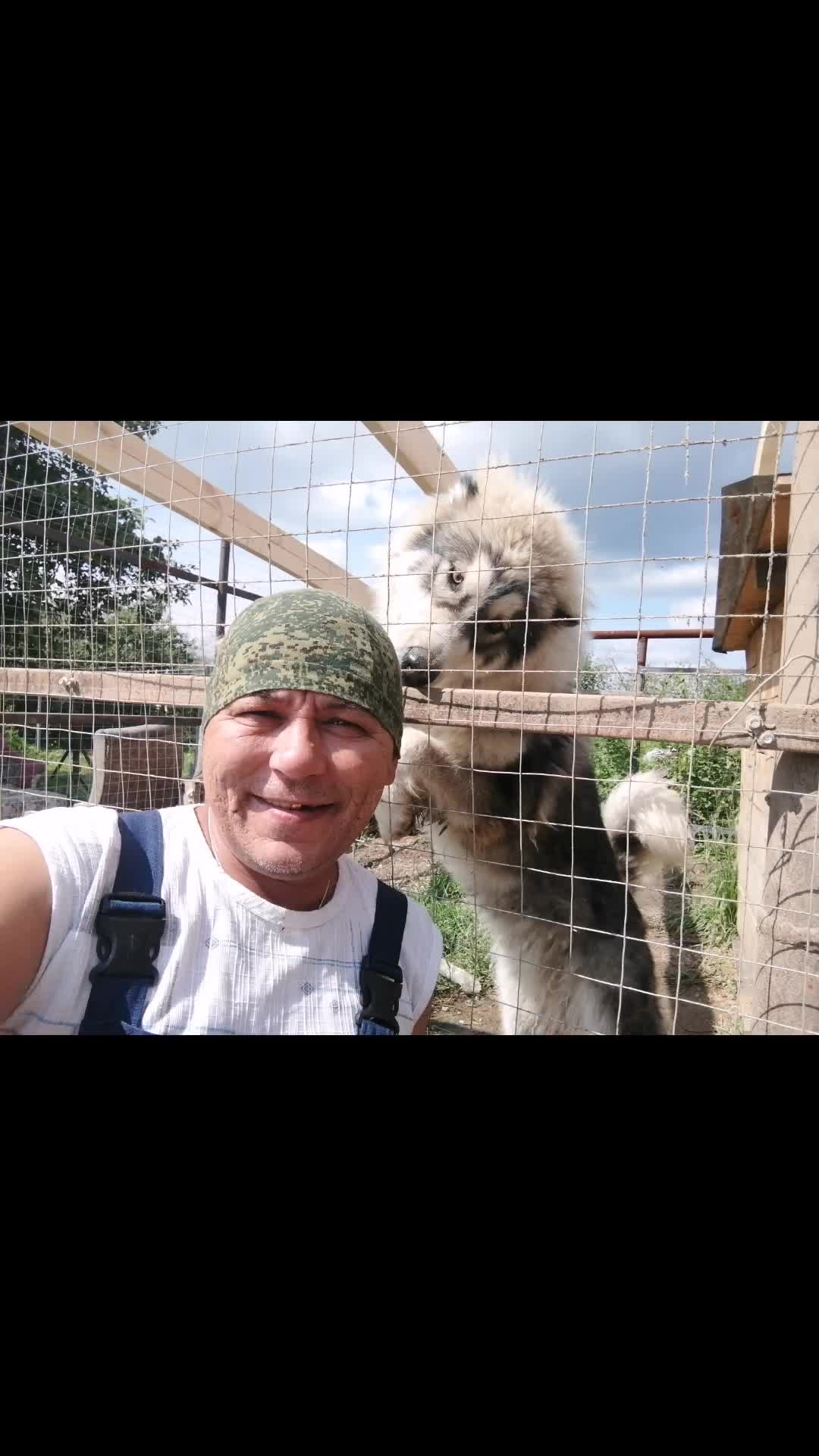 @Сергей