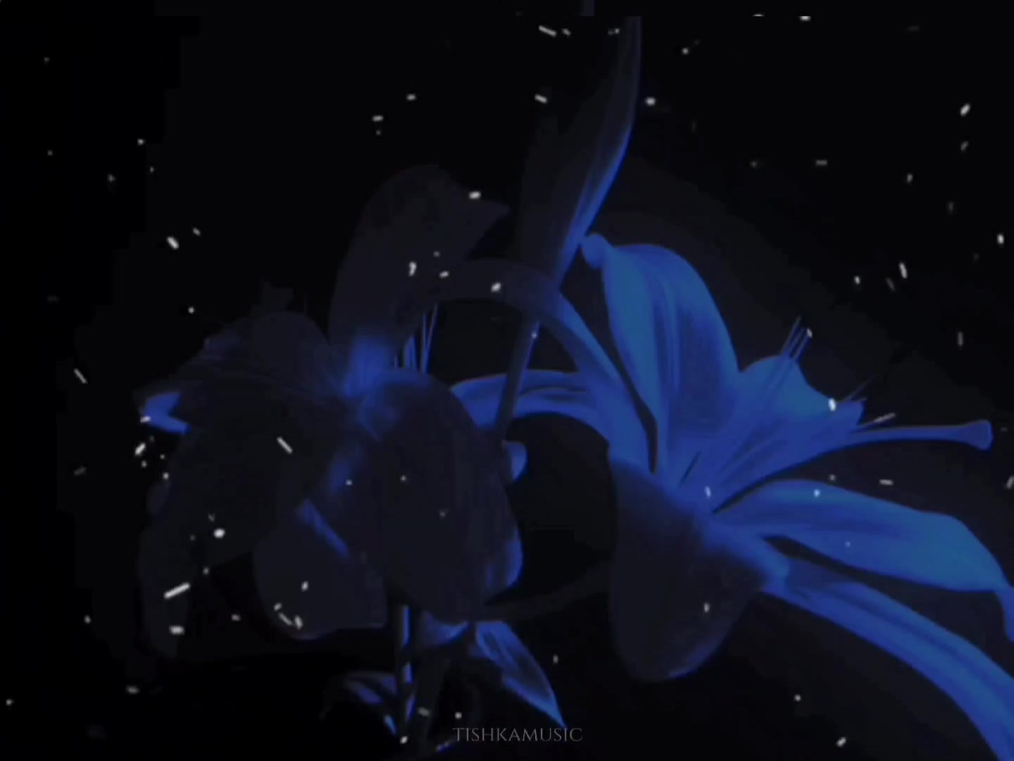 @★ 𝒕𝒊𝒔𝒉𝒌𝒂
