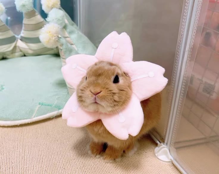 @кощик😛