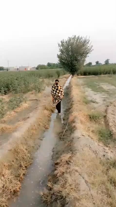 @Sonia shehzadi