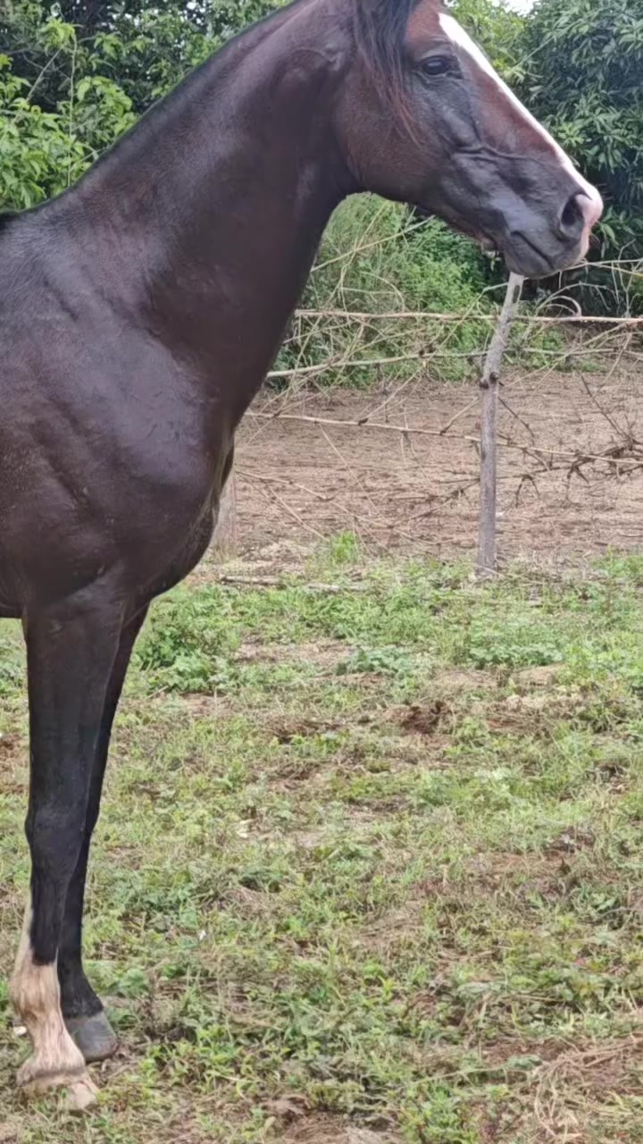 @𝐏𝐘𝐈 𝐊𝐘𝐀𝐖 𝐀𝐔𝐍𝐆✓♞