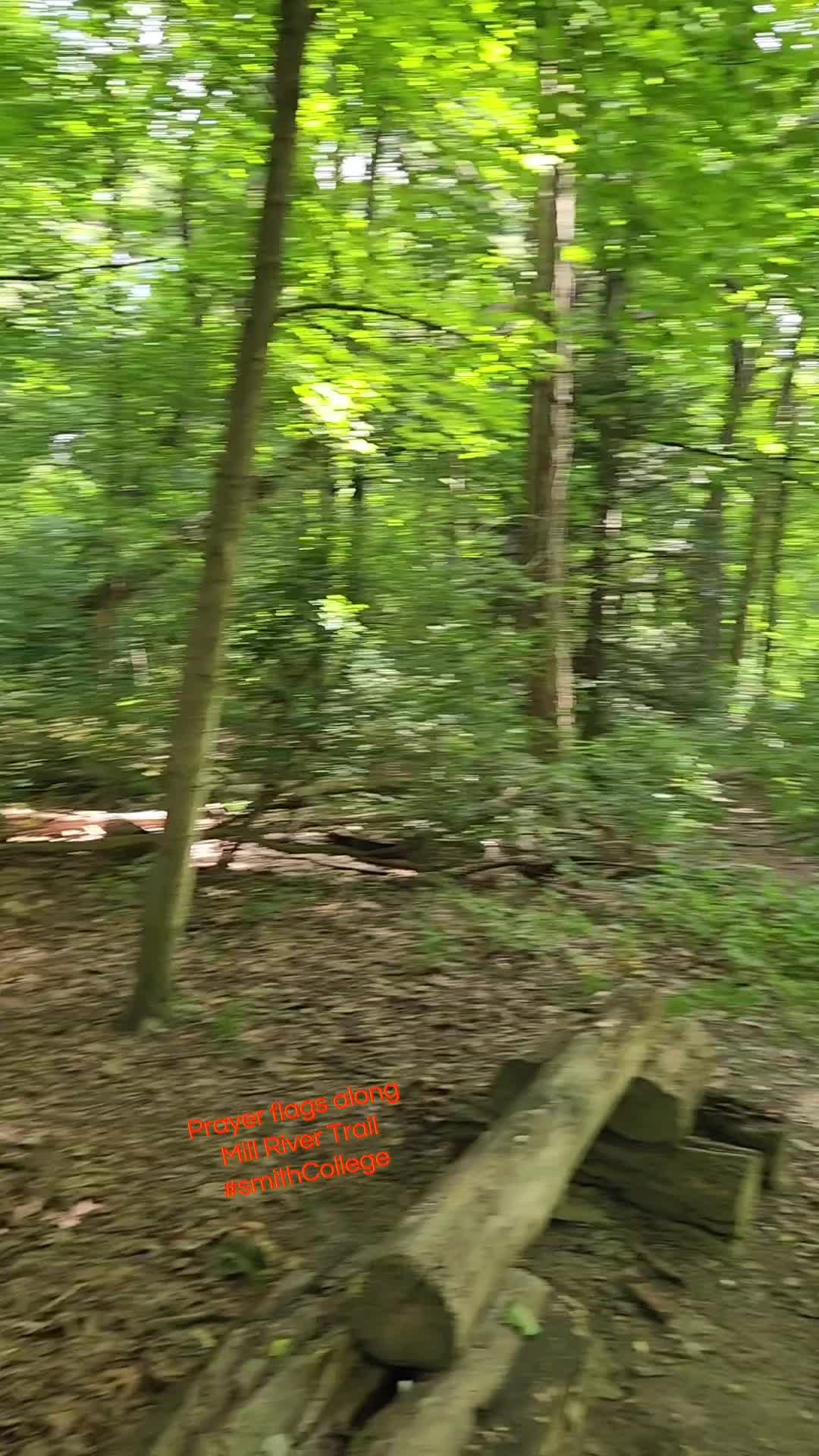 @MagsJ