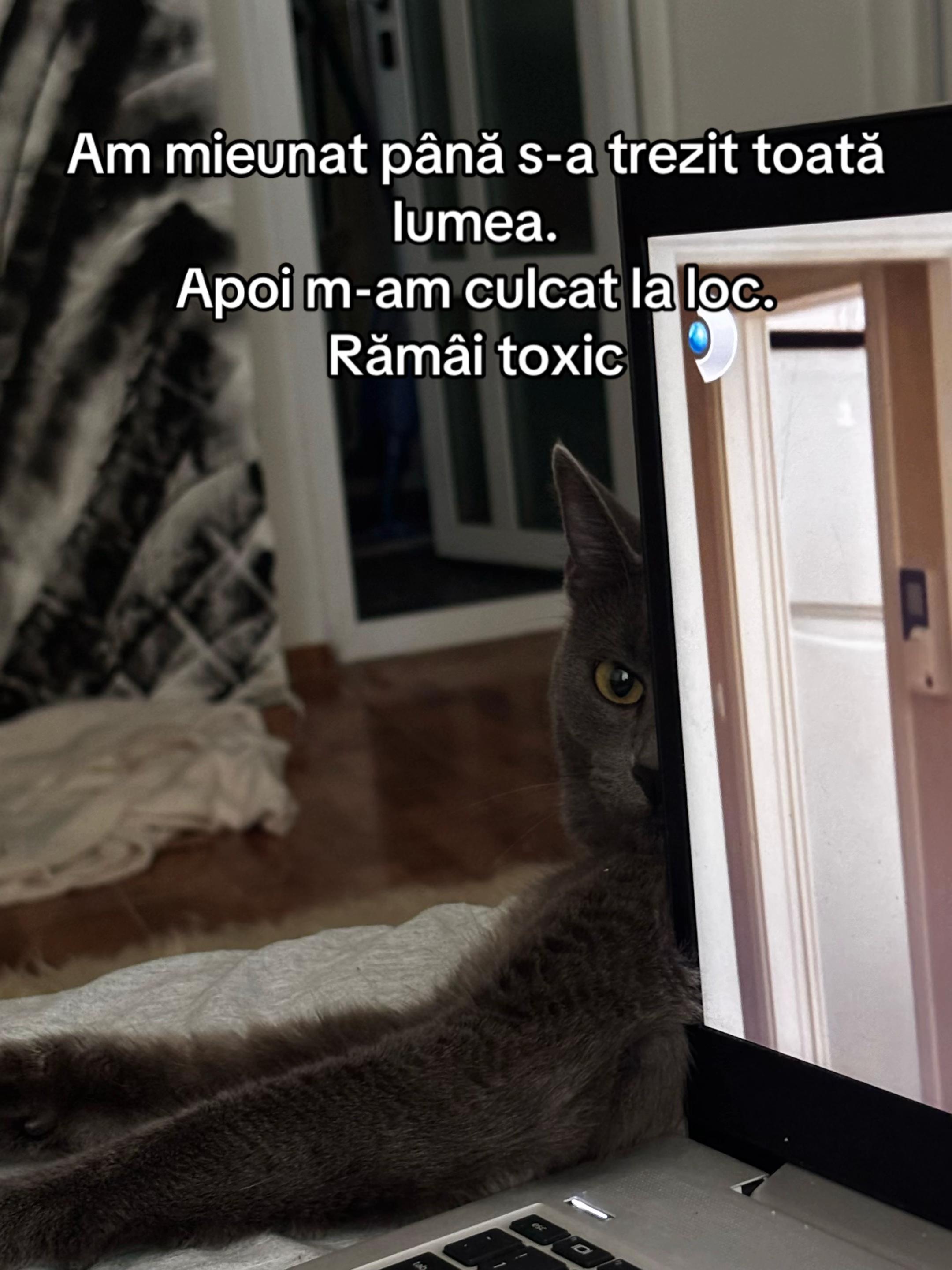 @zeyneppaulaaaa