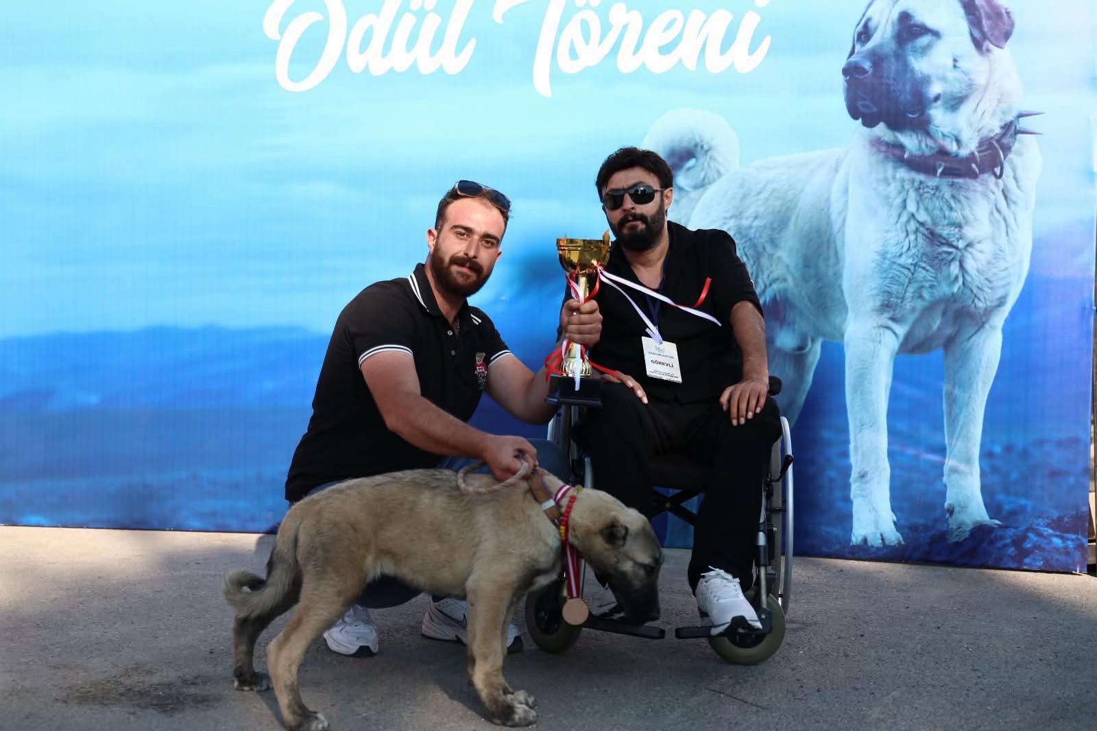 @🇹🇷Sivas Kangal K&ouml;peği 🇹🇷