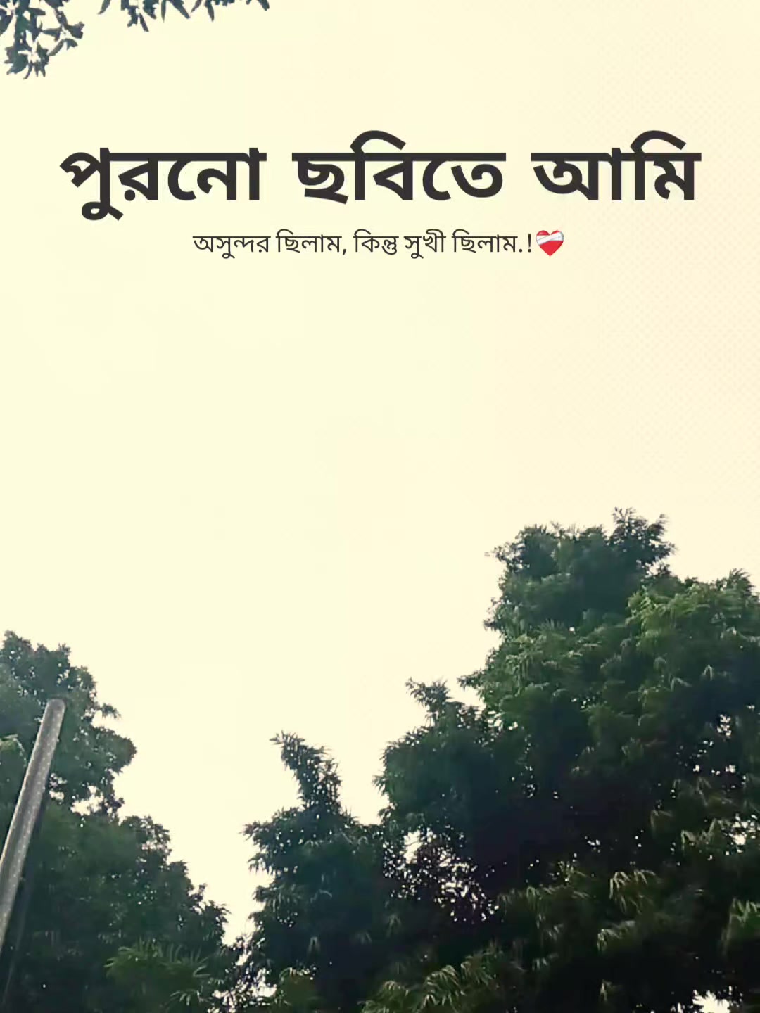 @꧁⭑শেষ পৃষ্ঠা⭑꧂