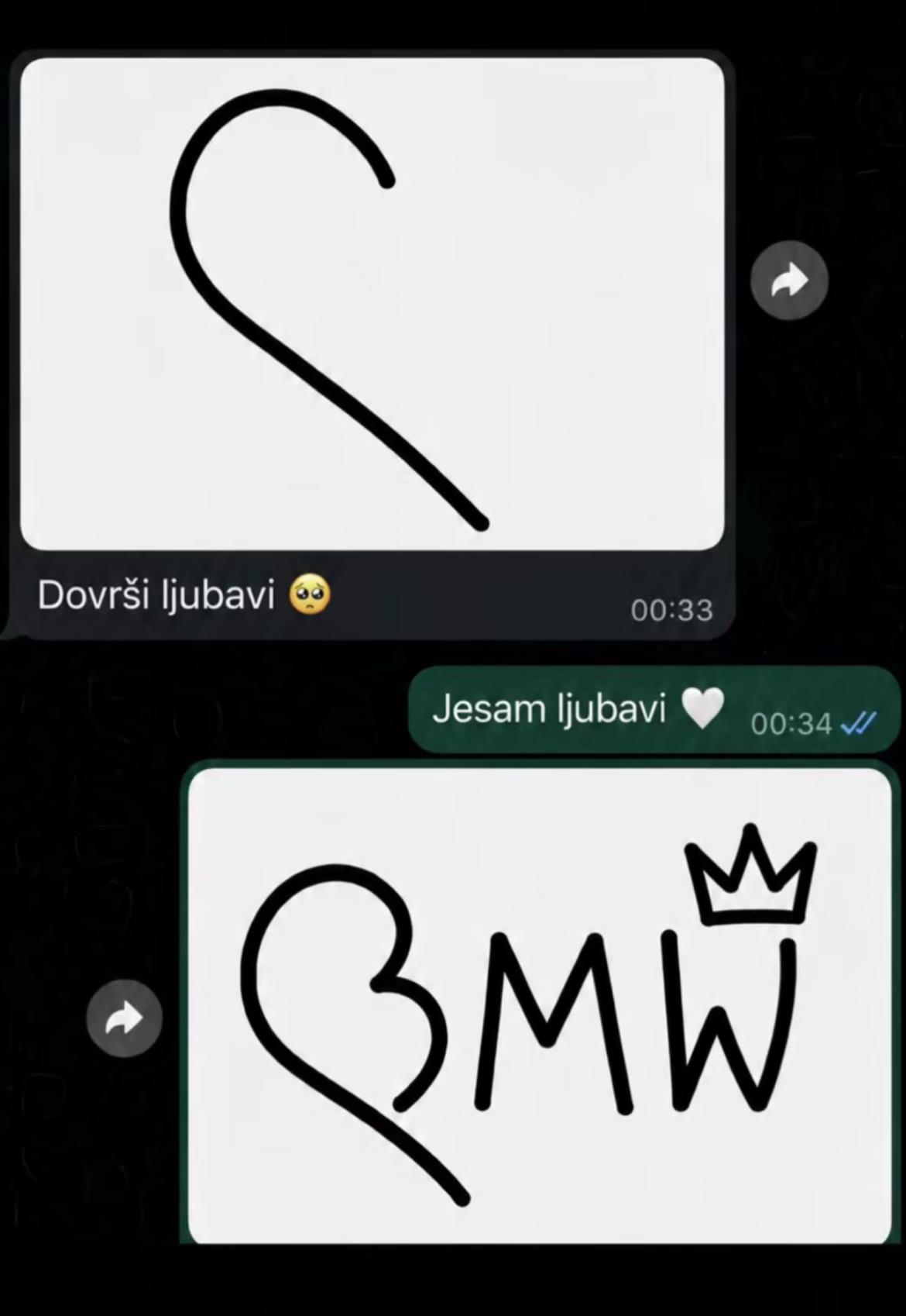 @🦈