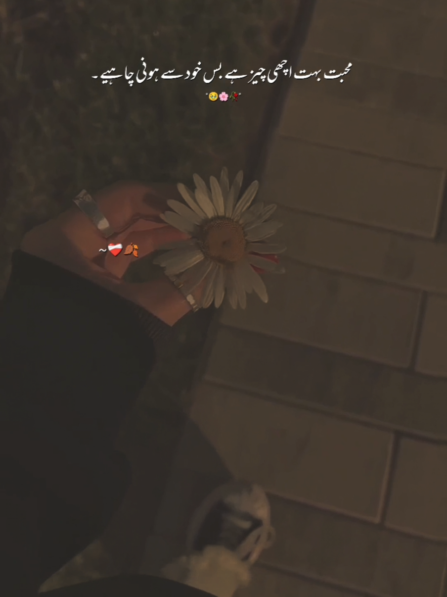 @Dilan🖤