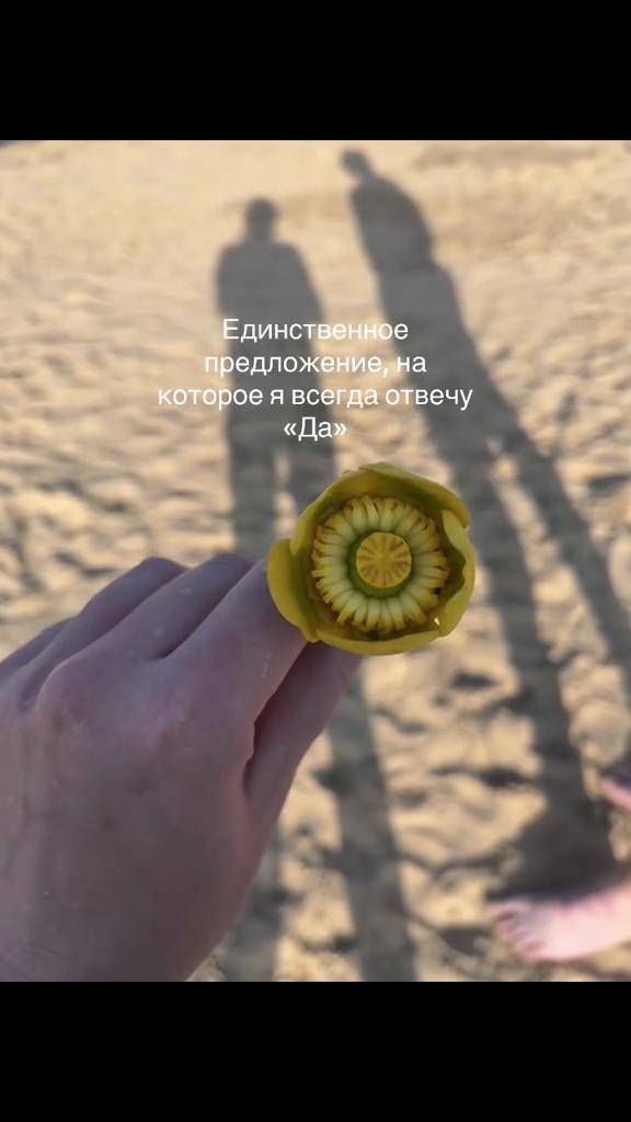 @Анастасия Зеленцо382