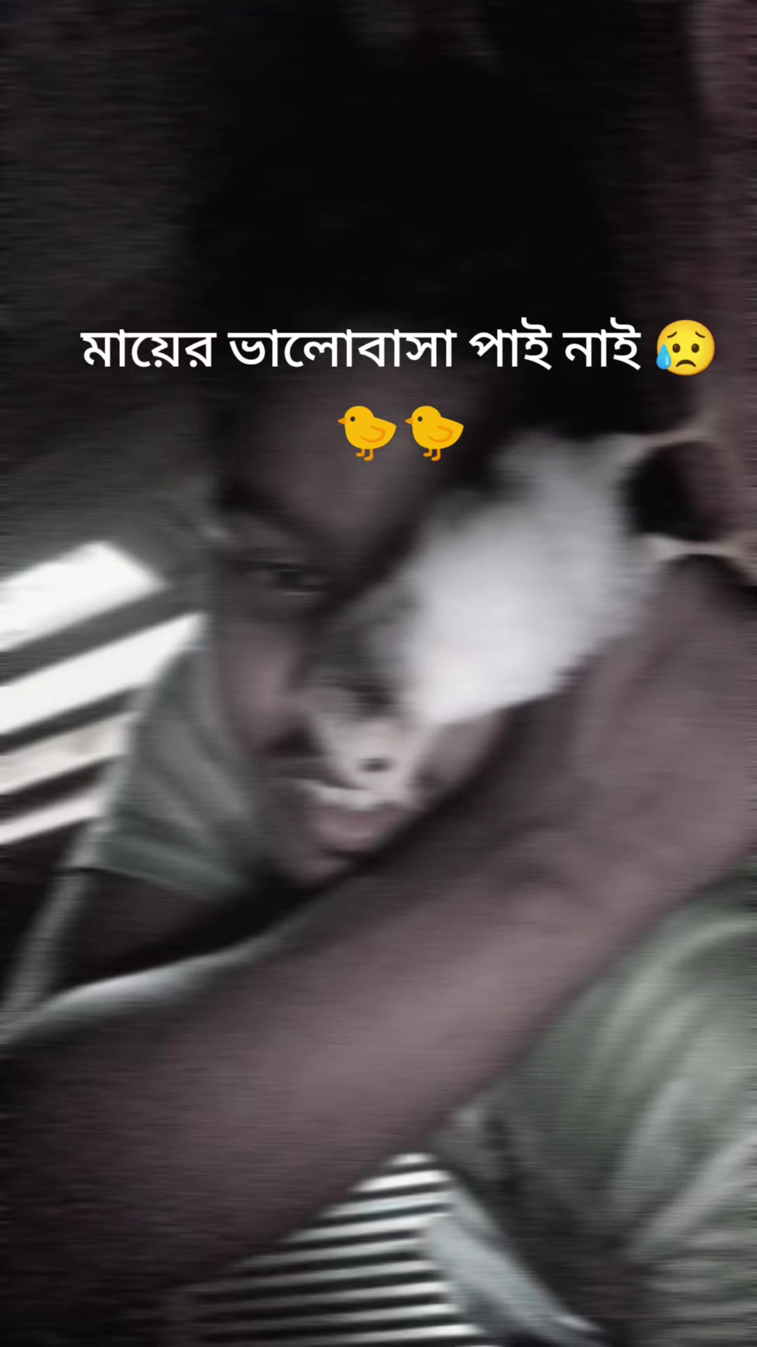 @video king