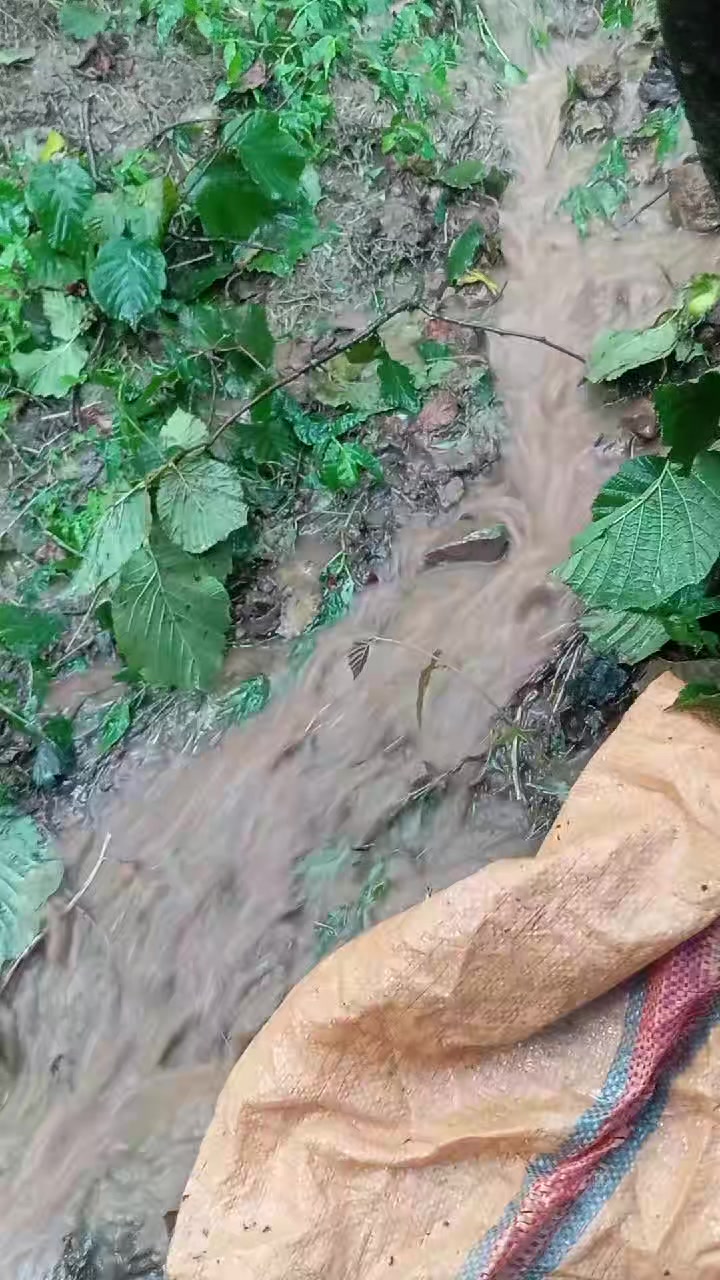 @MAFYA