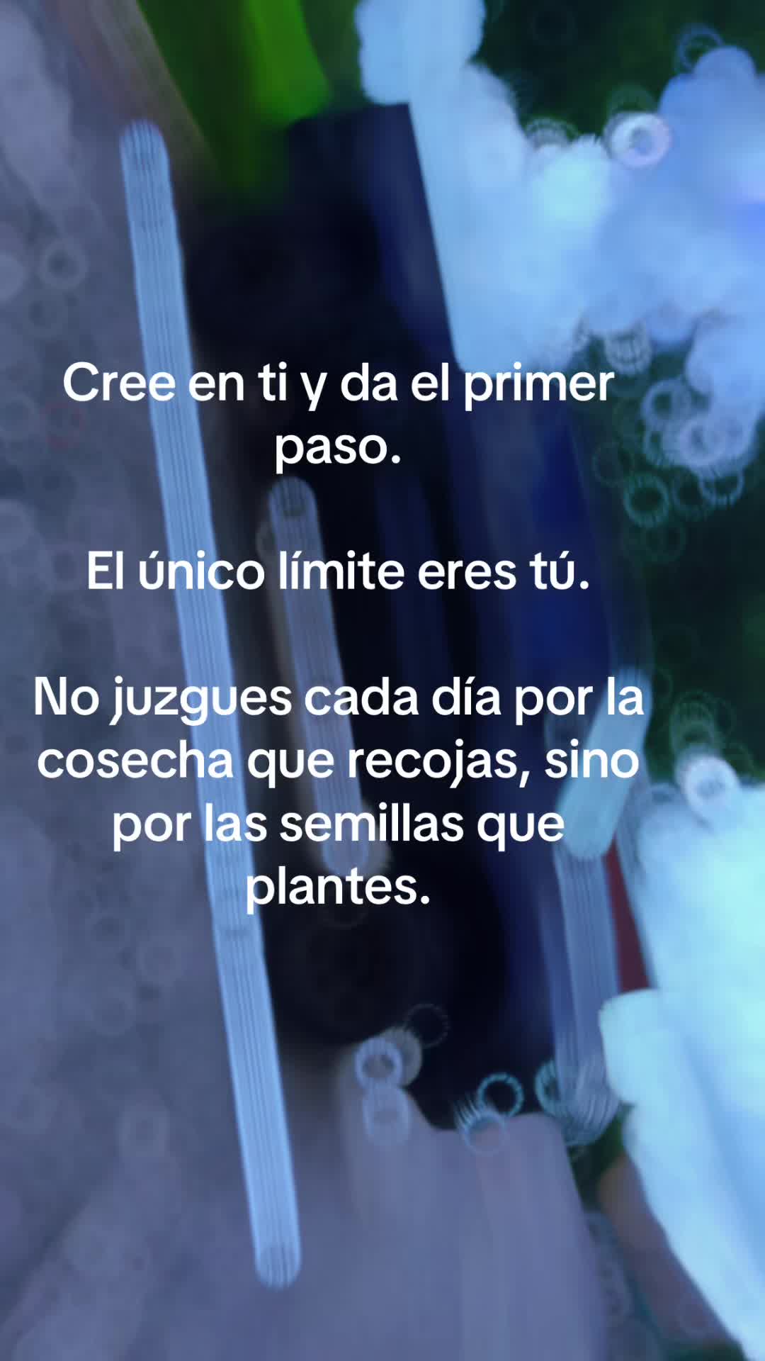 @SoyVikingo