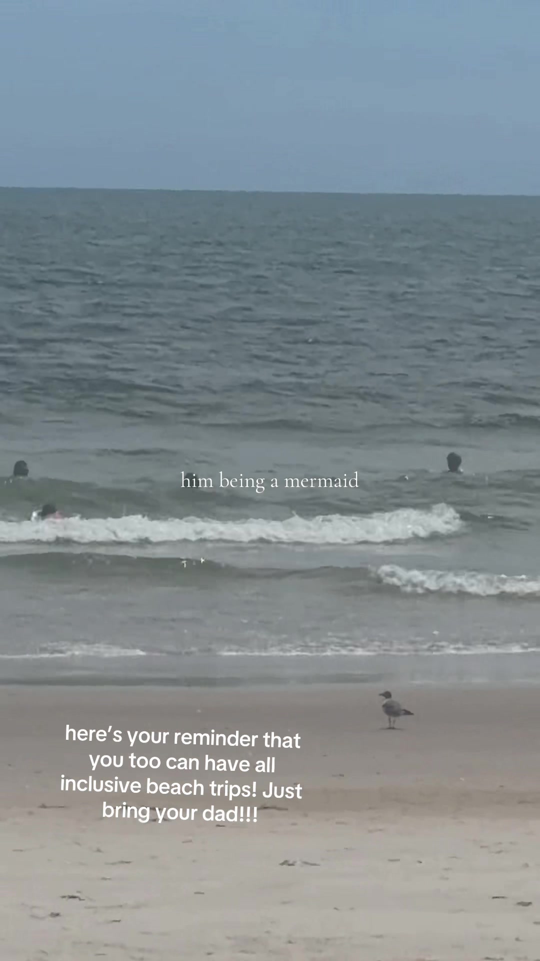 @ali