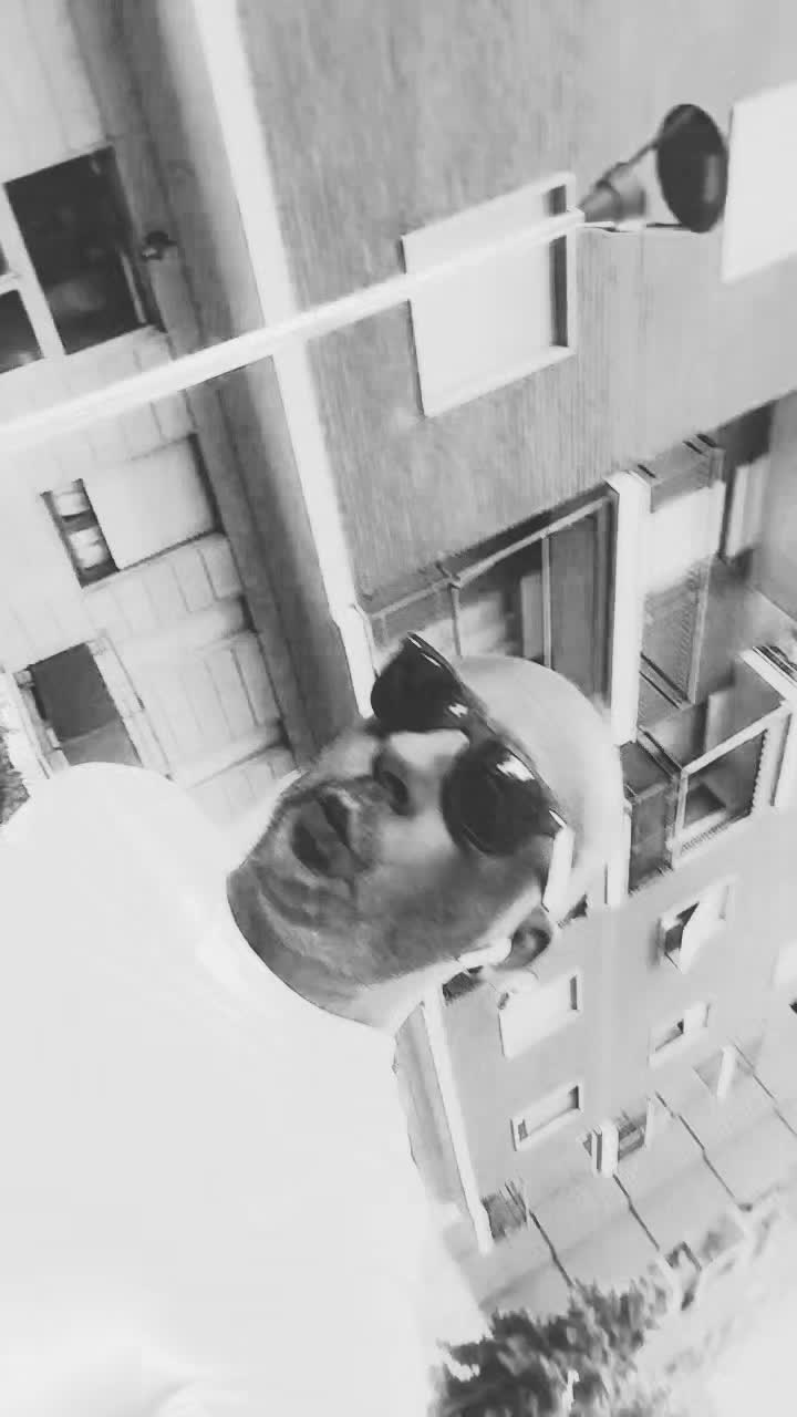 @👑DainoDino👑