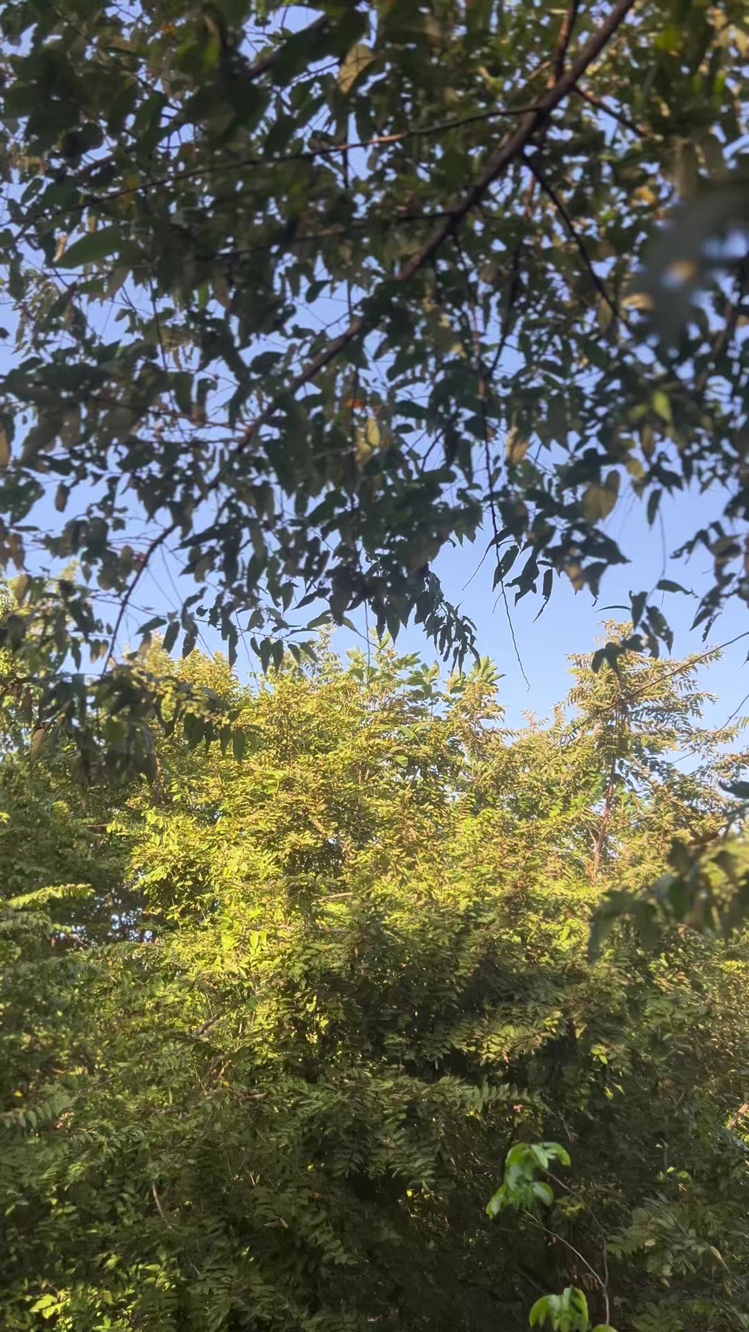 @Angxl_Z_🌴🧃